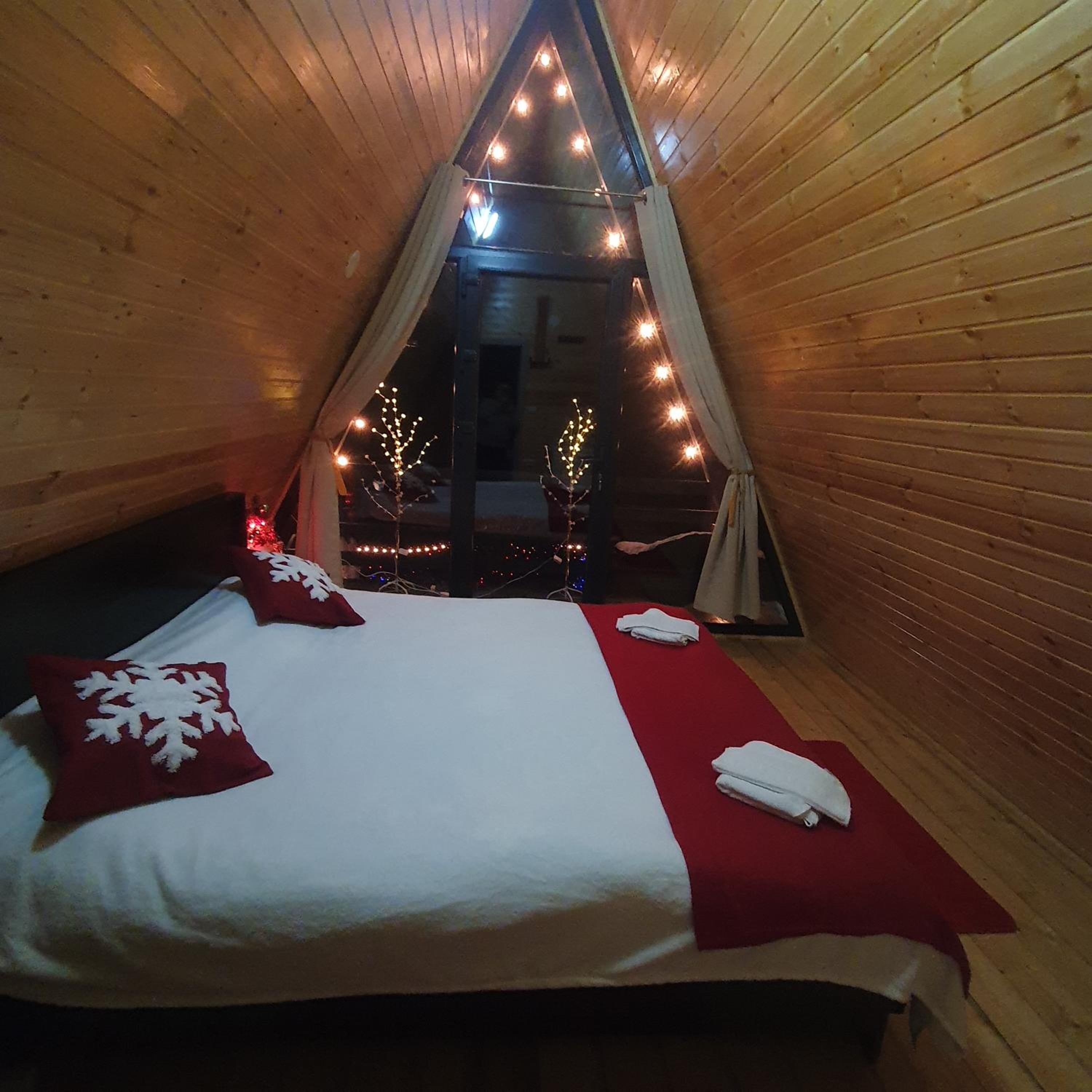 Cabana Apuseni Forest