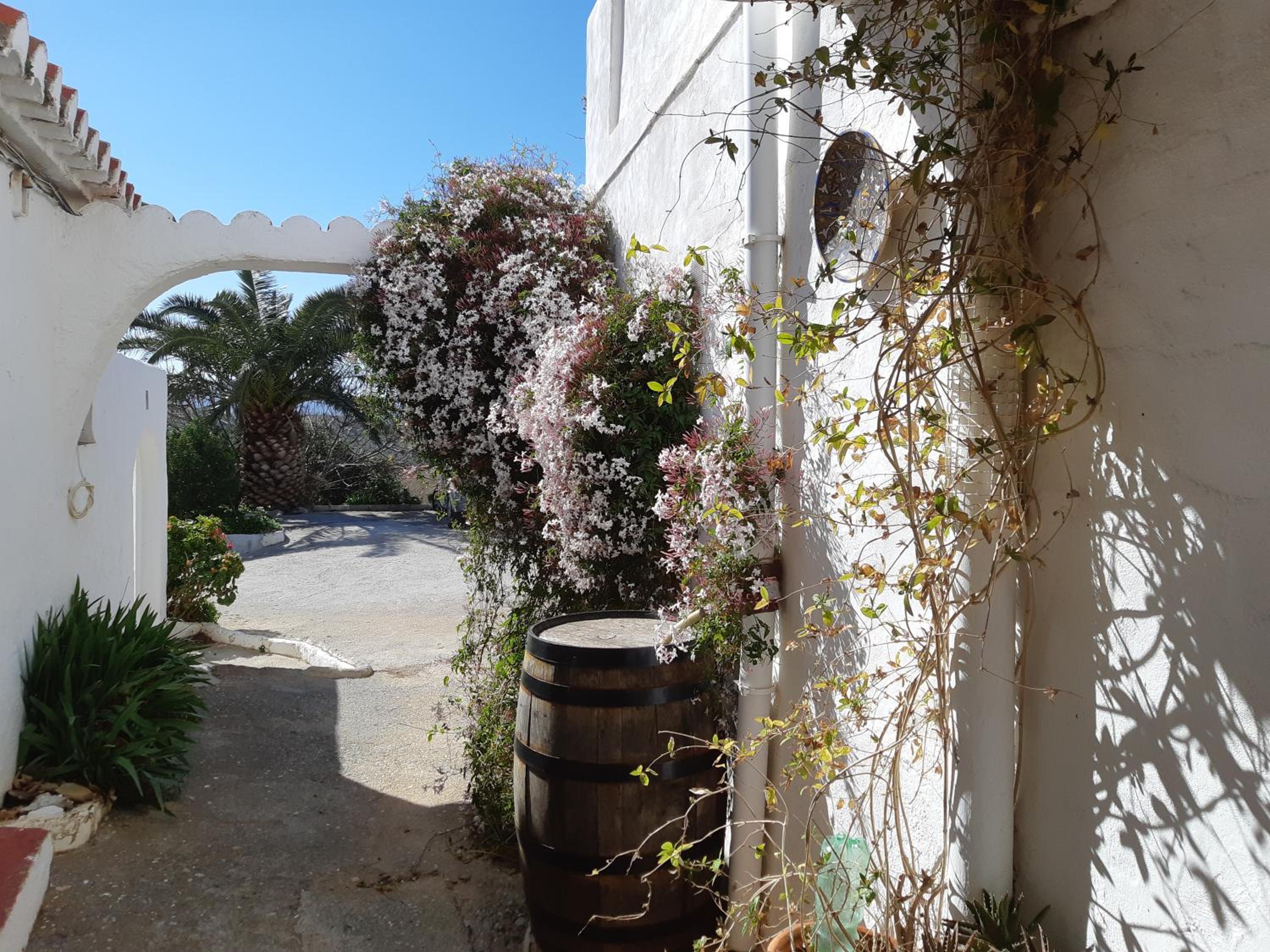 Casita Tomate photo 1