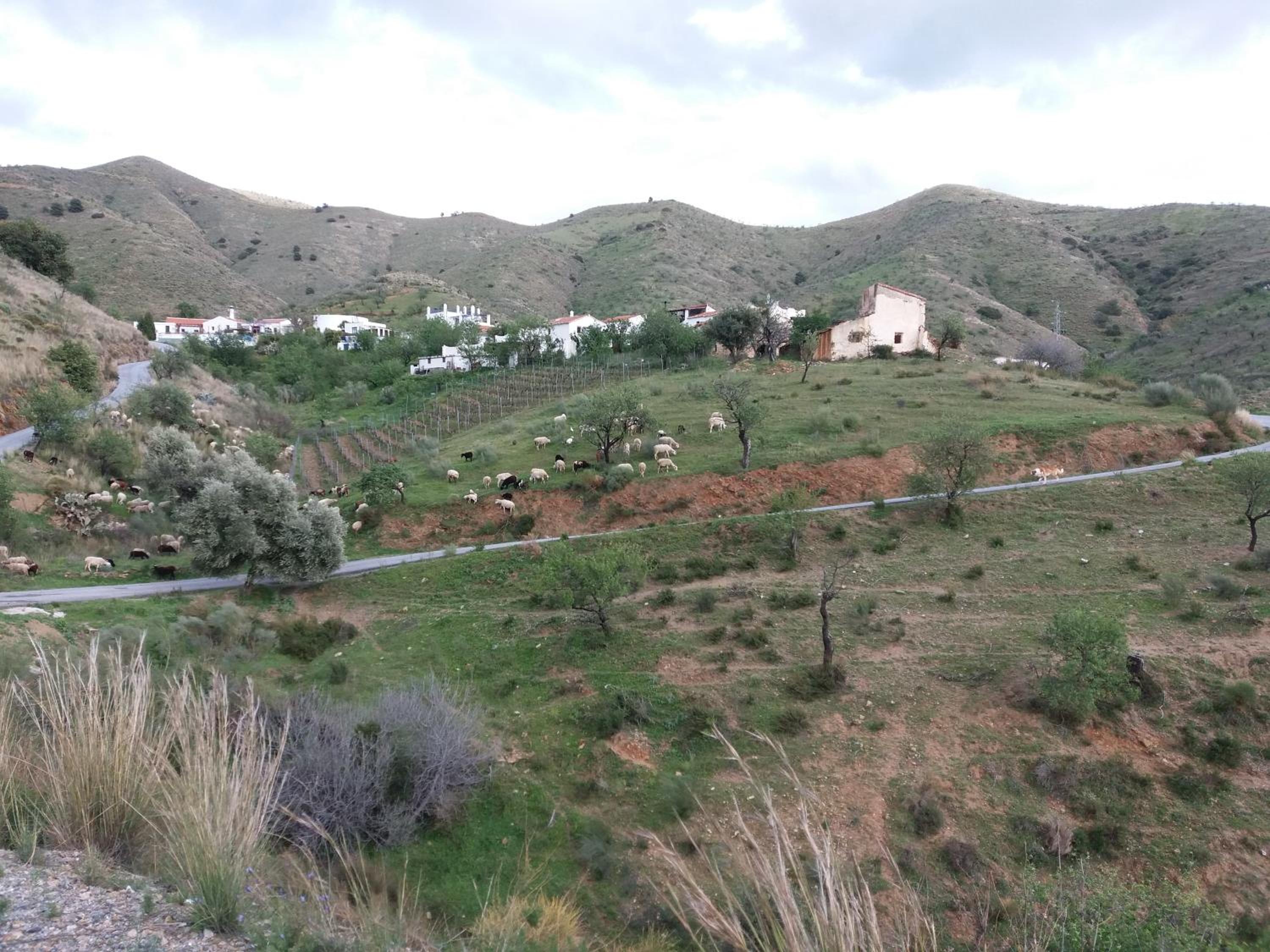 Casita Tomate photo 5