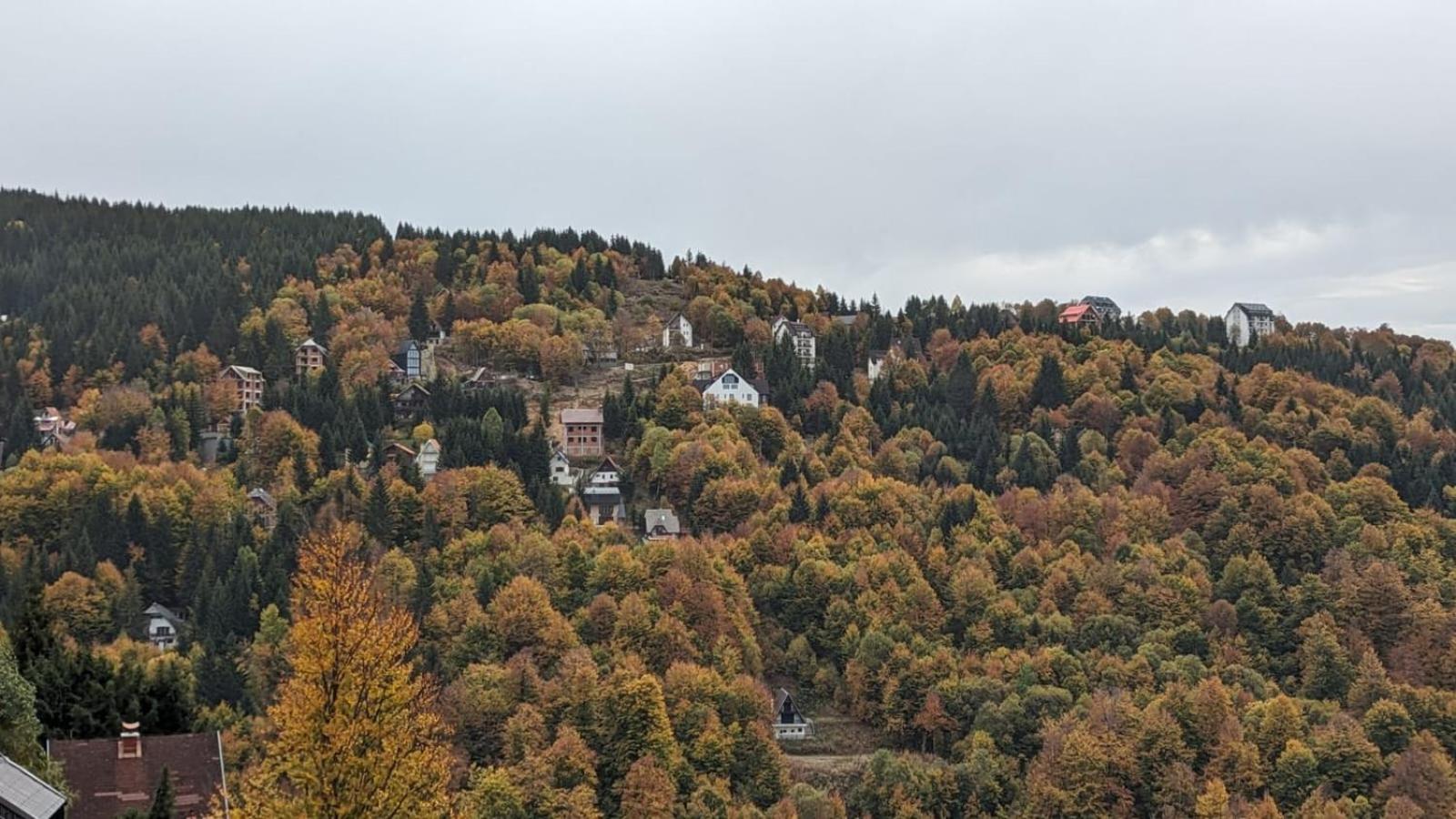 Studio Čuvarkuća