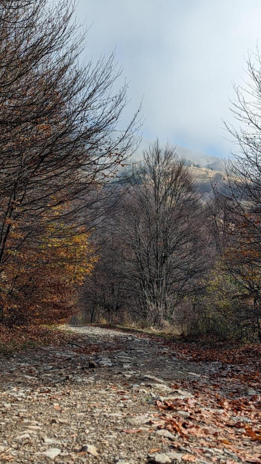 Studio Čuvarkuća