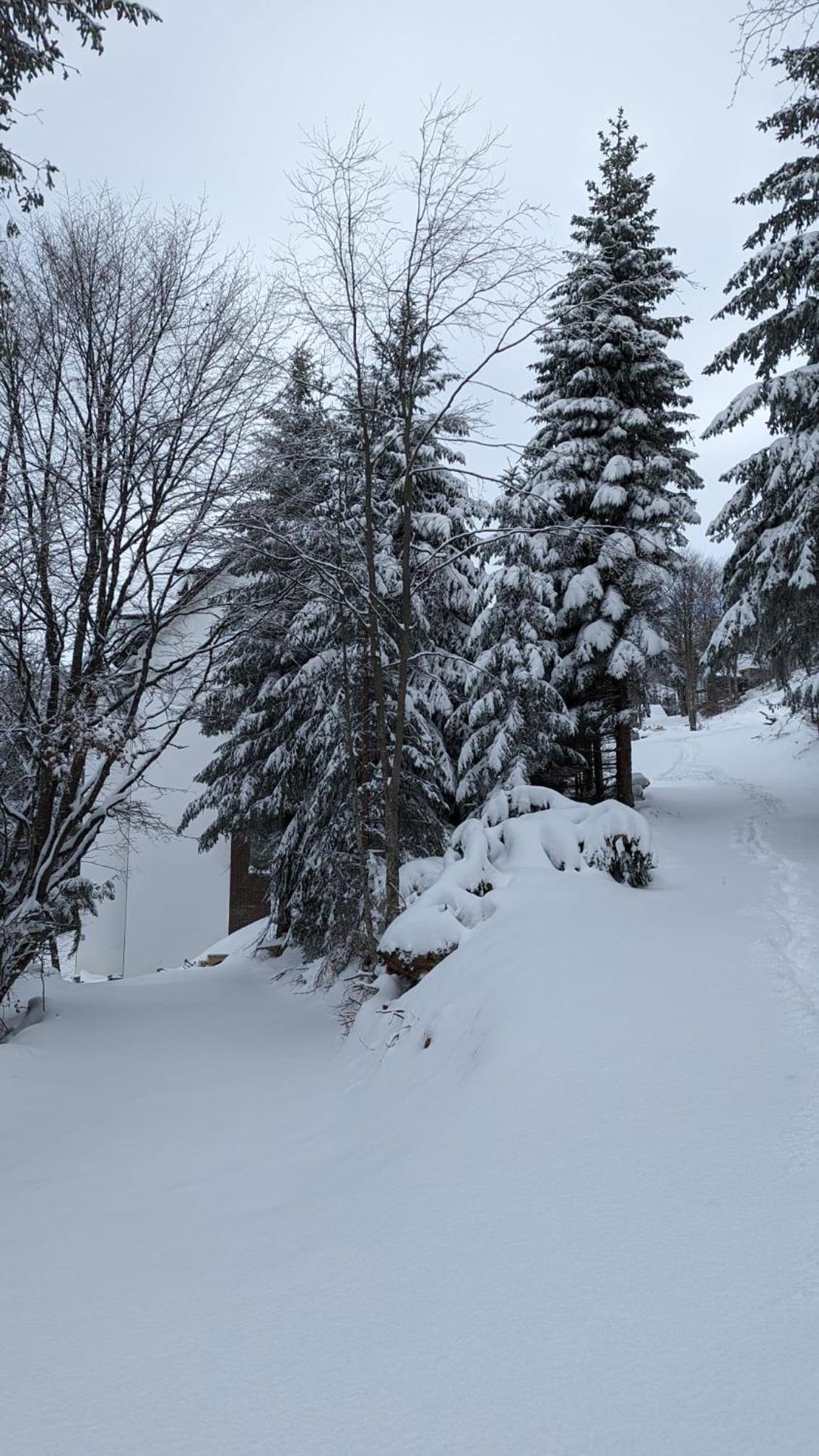 Studio Čuvarkuća