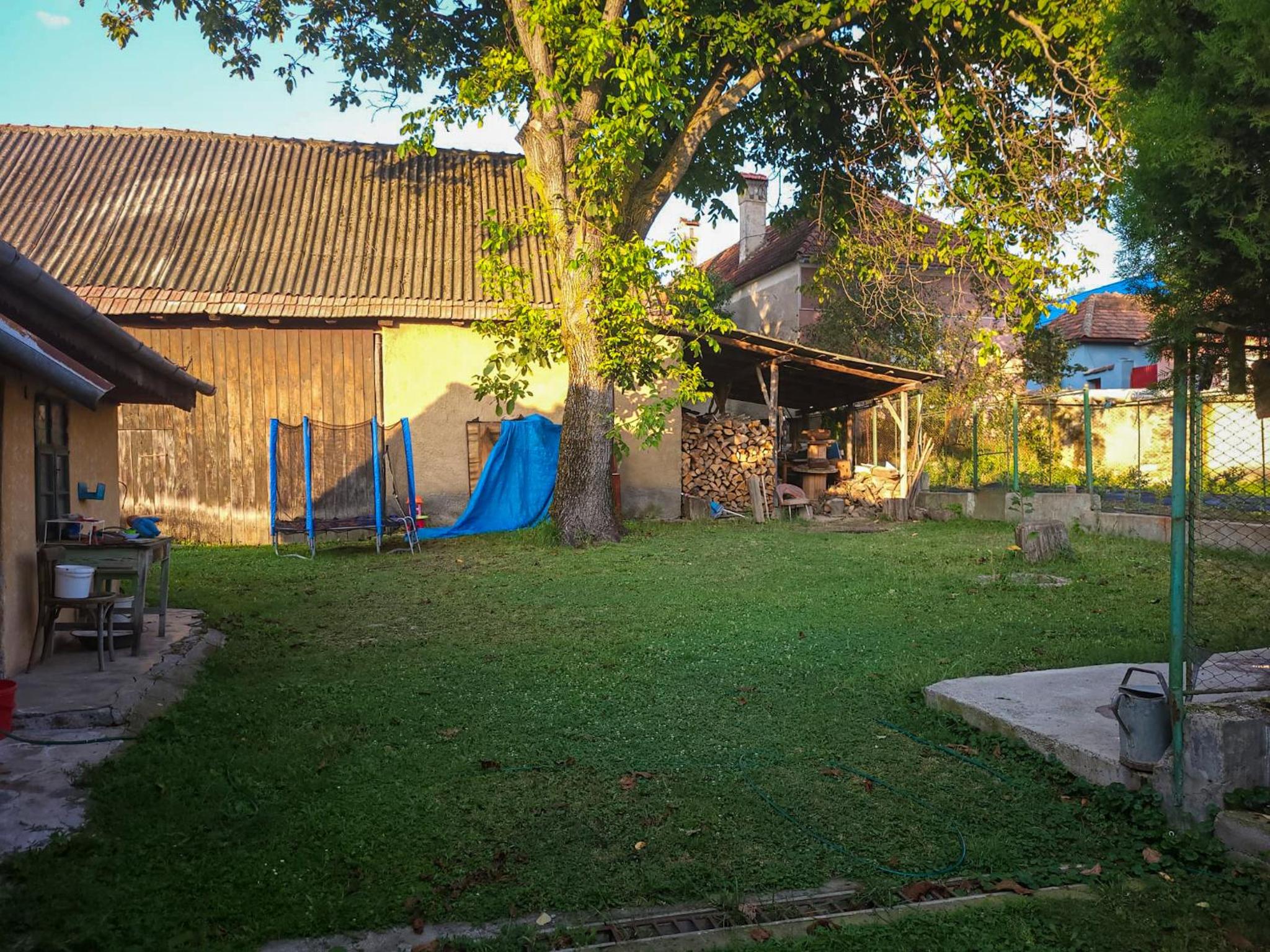 Photo 36