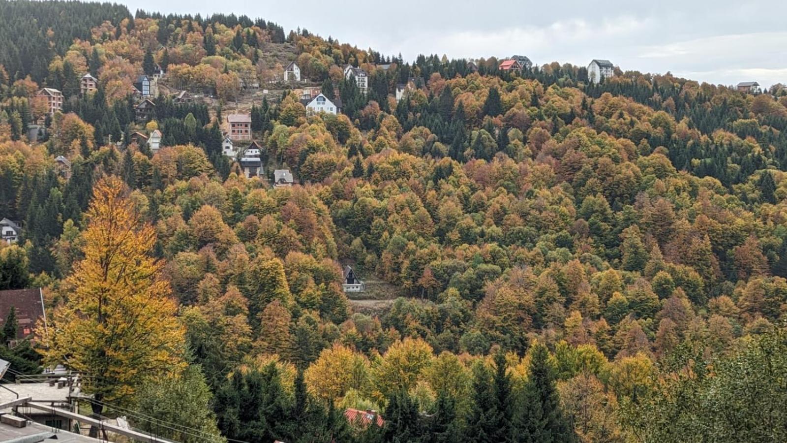 Kod Strica