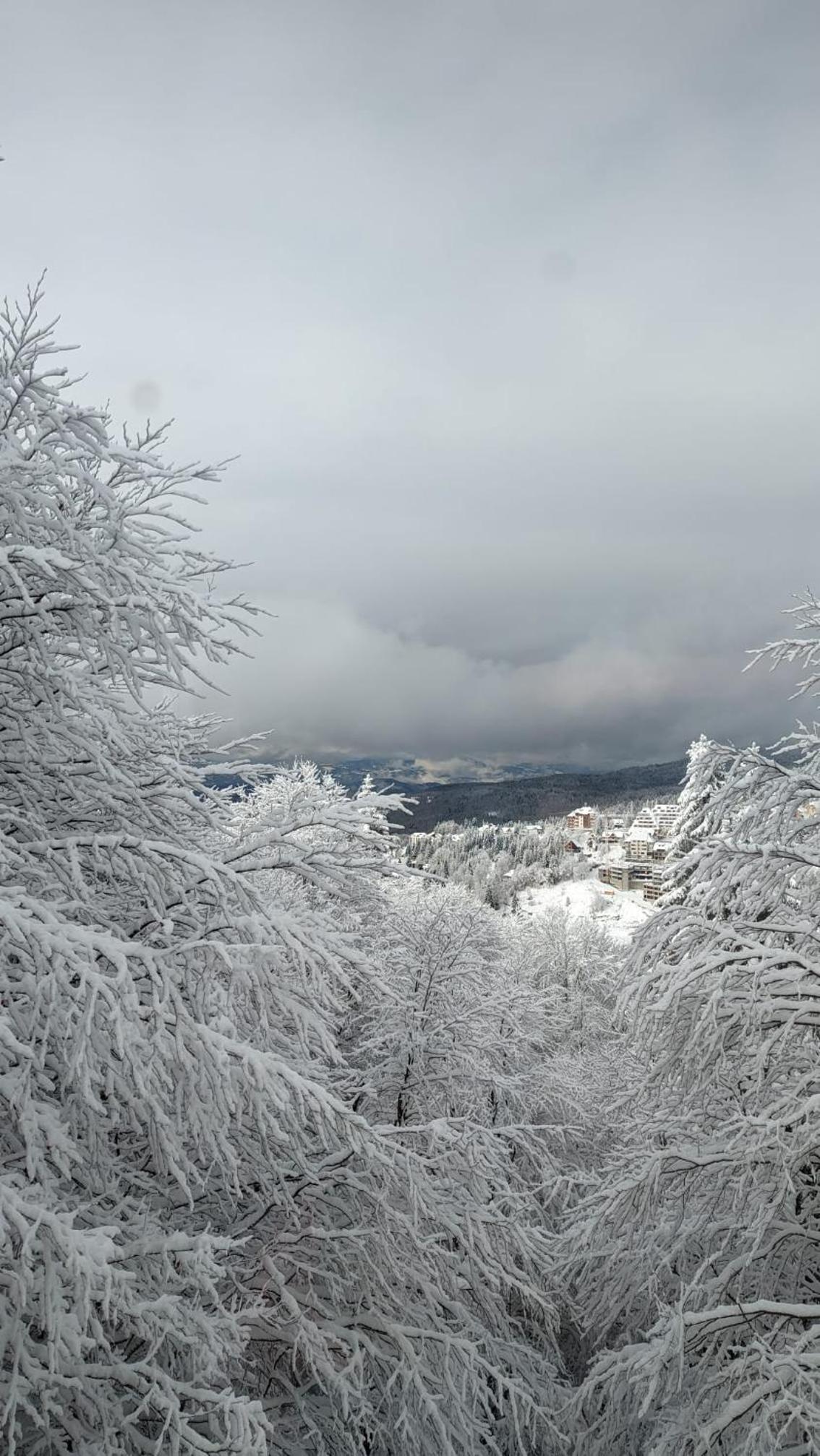 Kod Strica