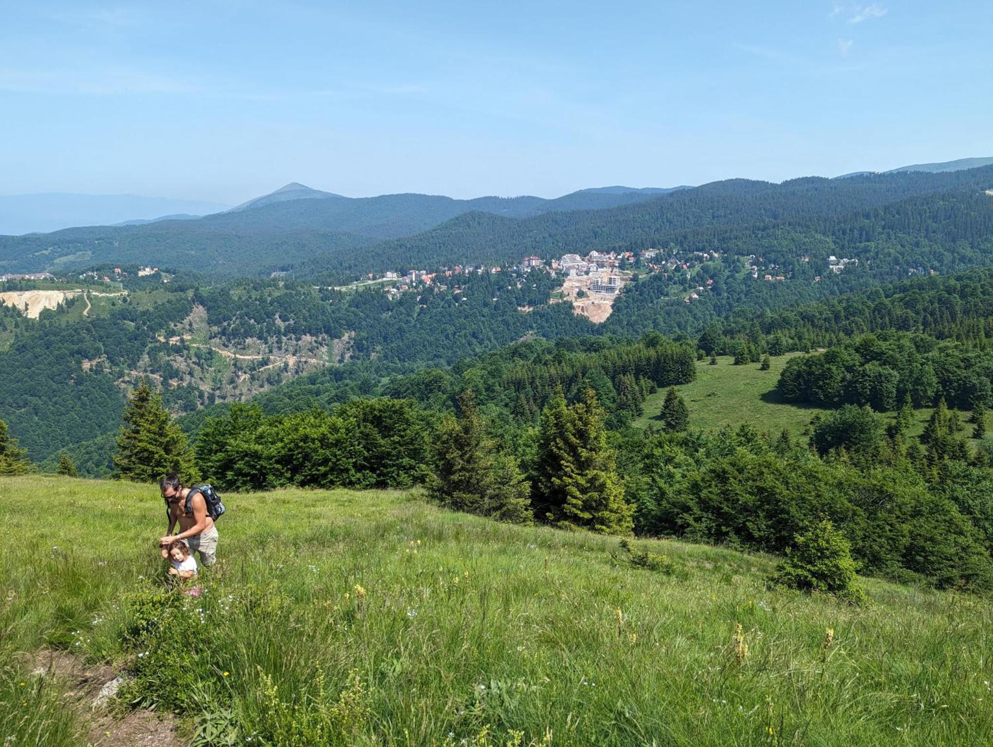 Kod Strica