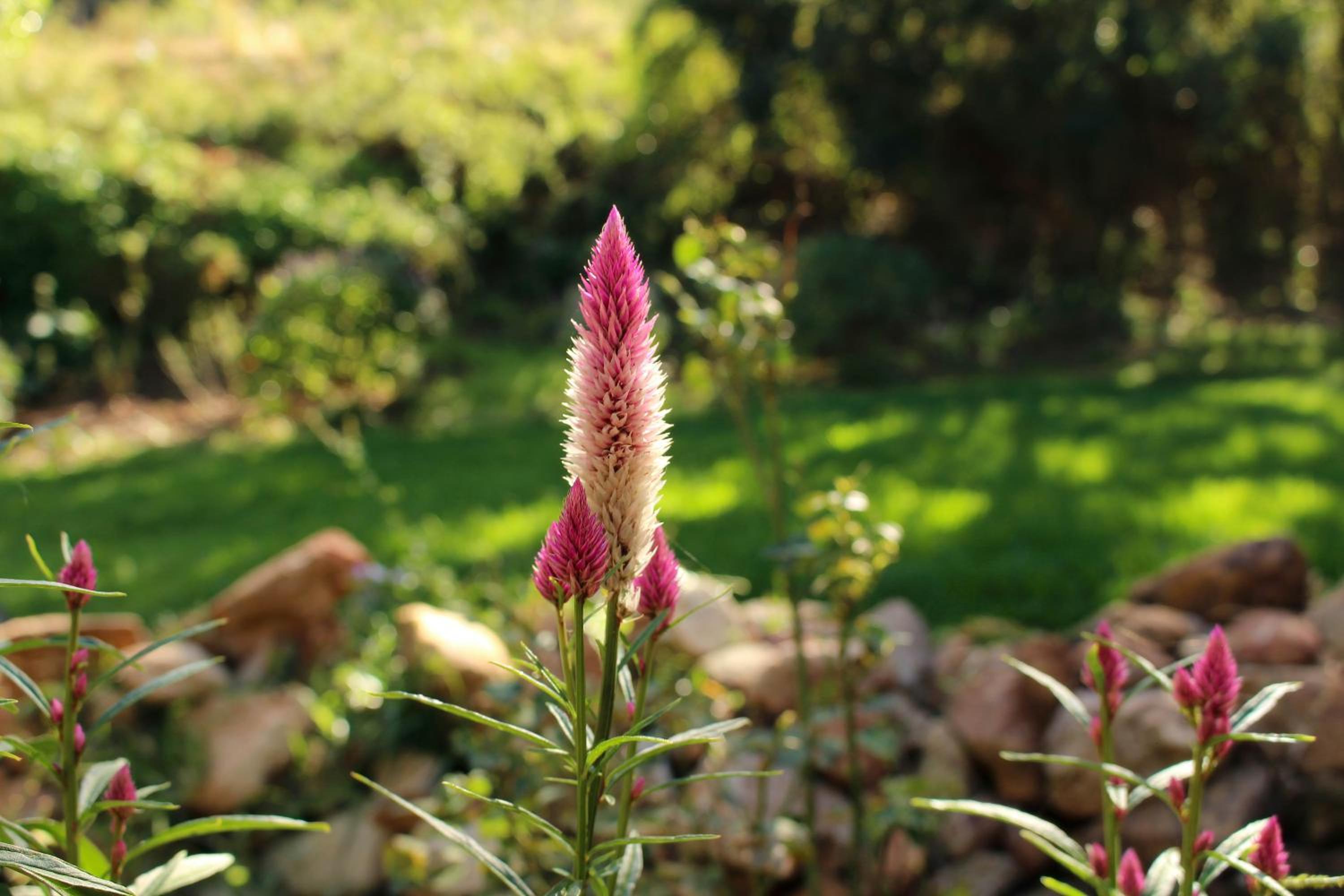 Witrivier Farmstay Self-Catering view 3