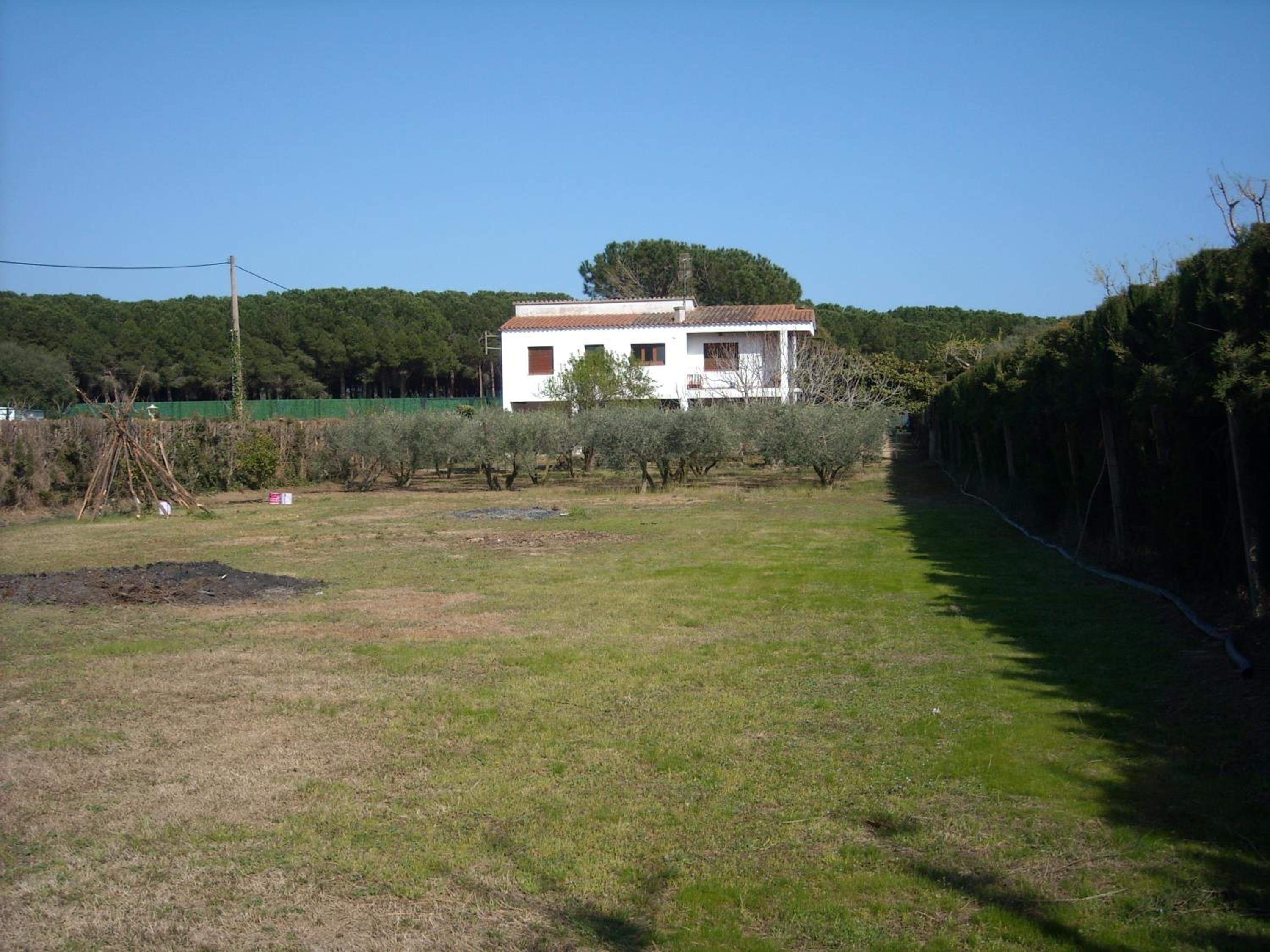 Photo 47