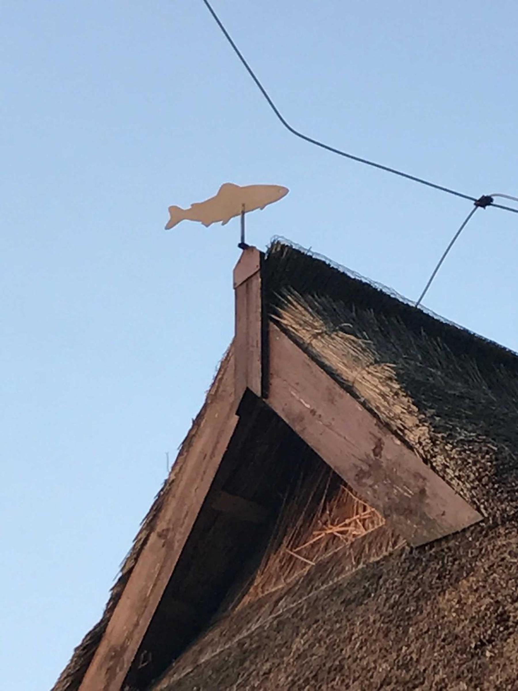 Alte Fischerei
