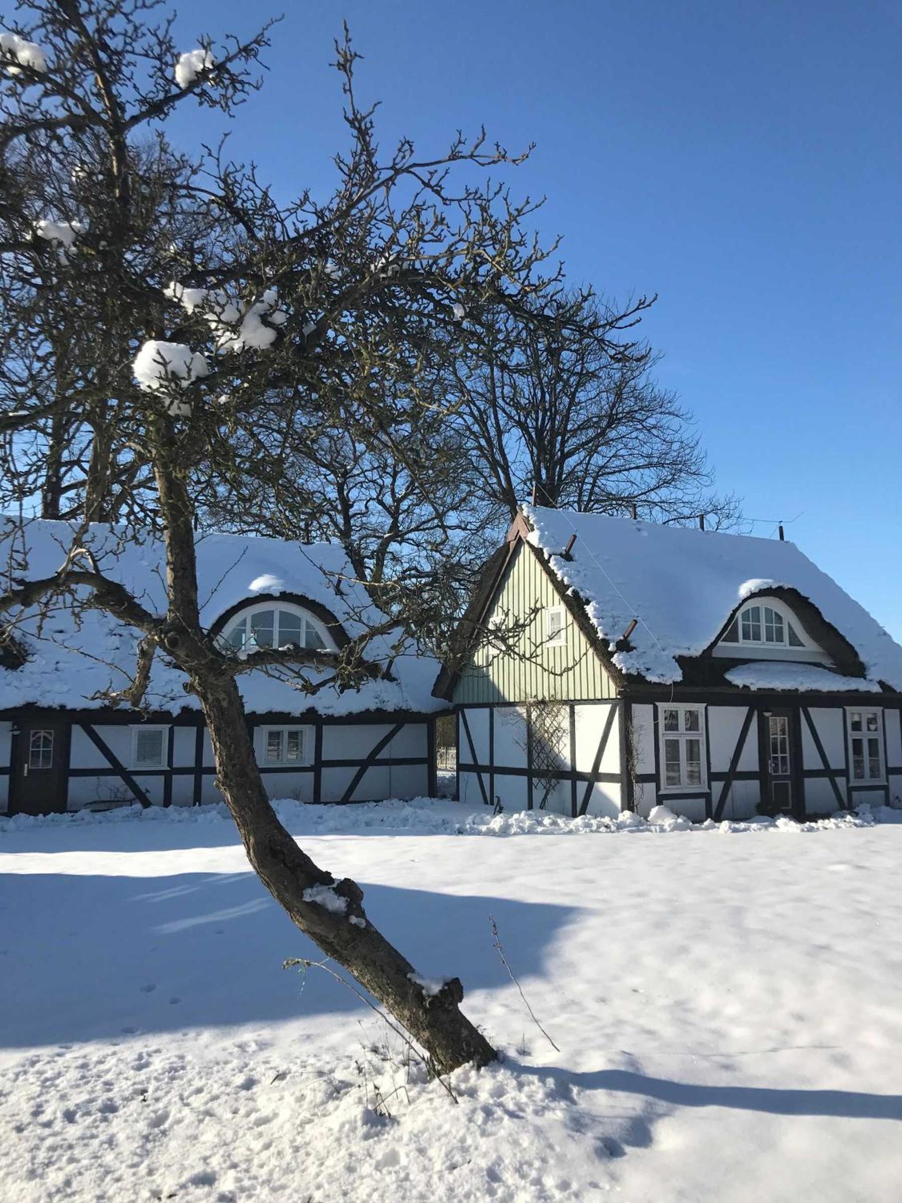 Alte Fischerei