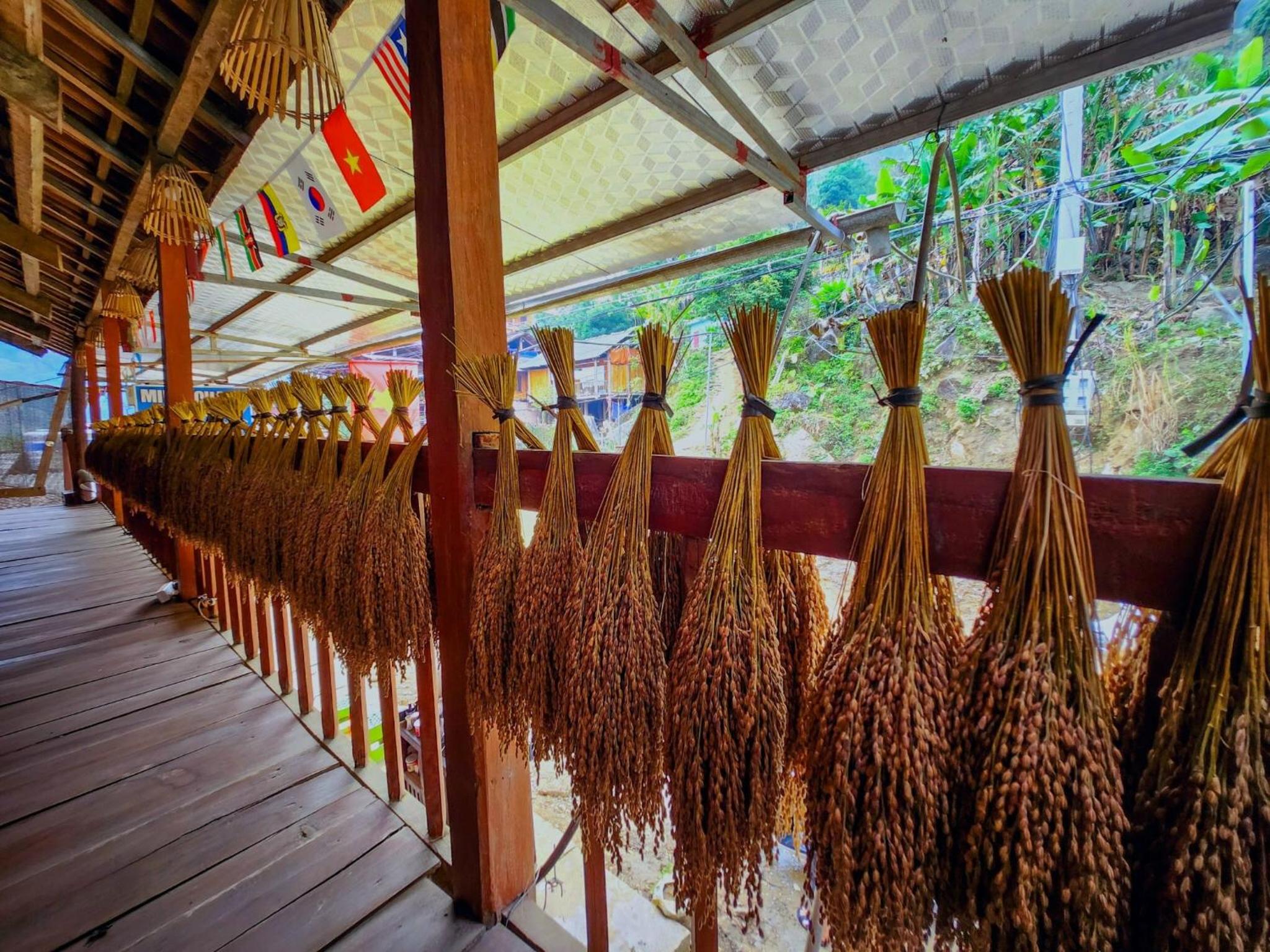 Minh Quang homestay view 3
