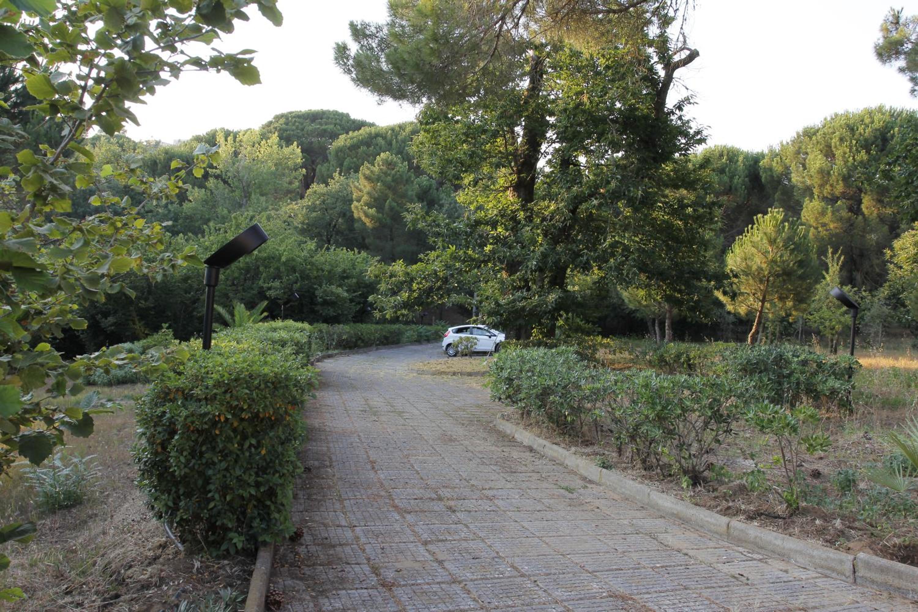 Photo 10