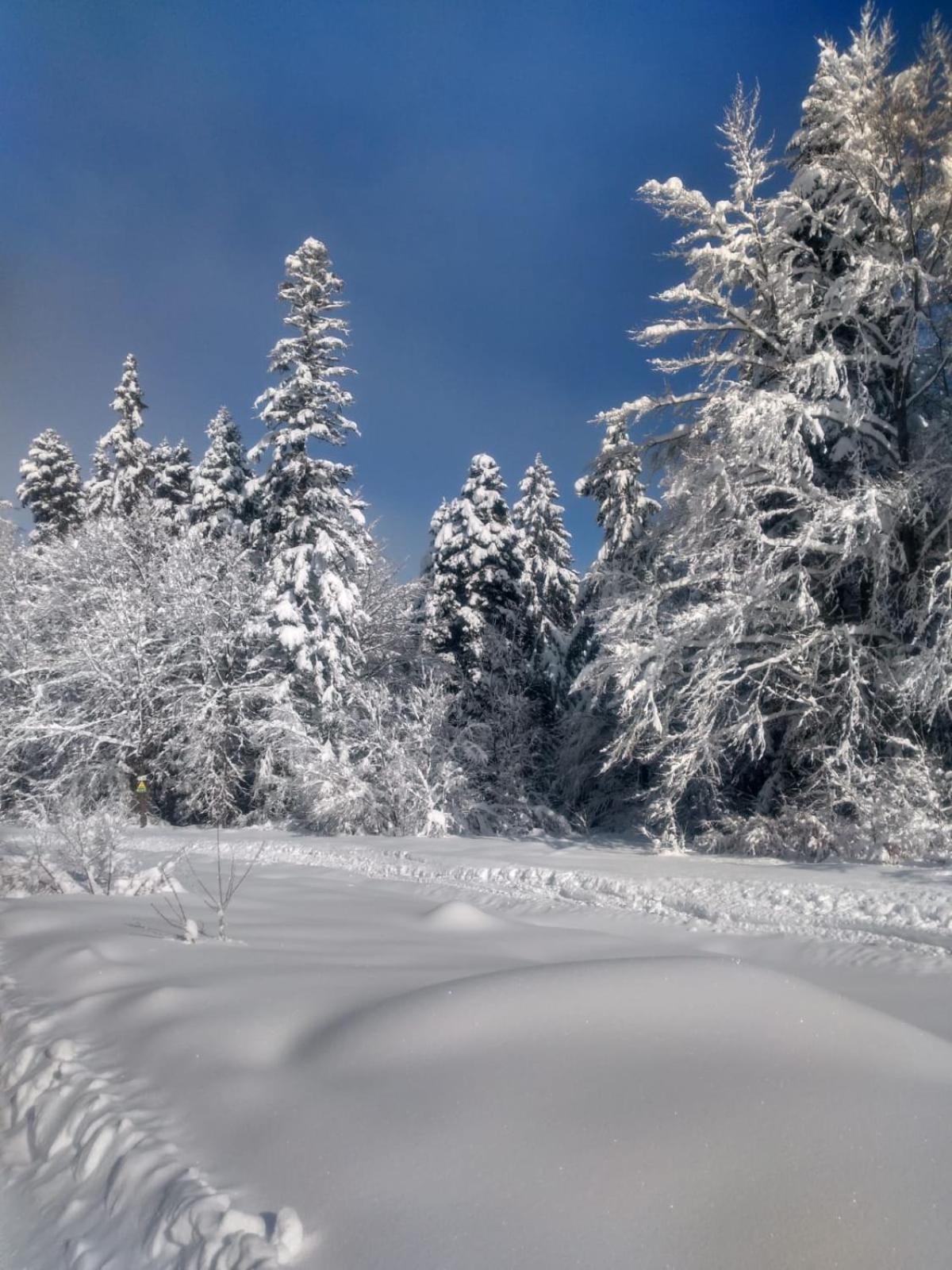 Kolimechkov Apartments Borovets view 2