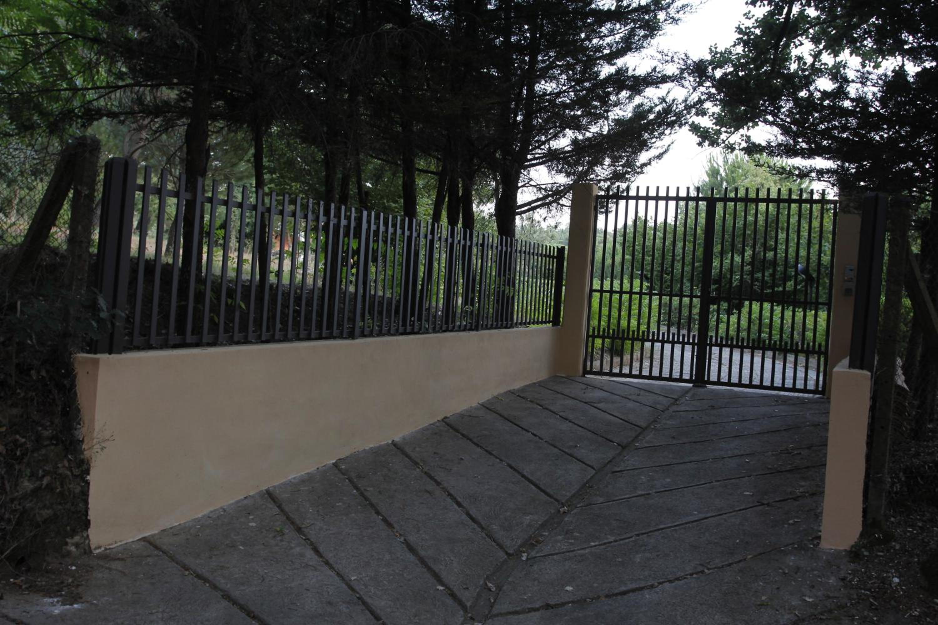 Photo 11