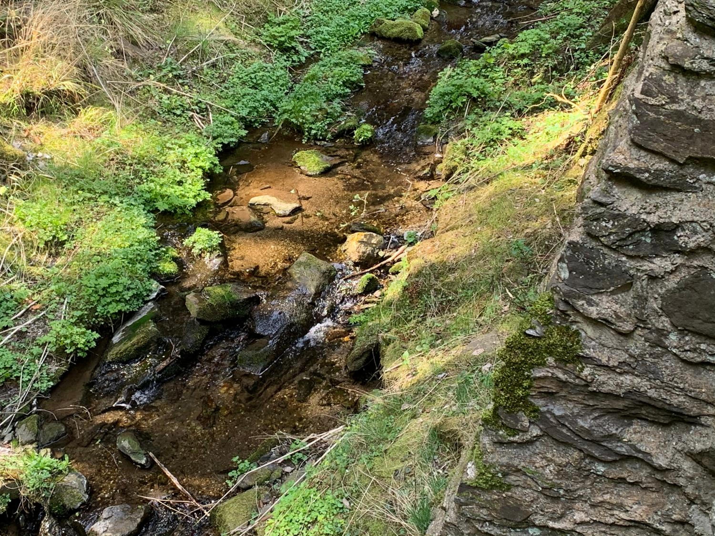 Gillausklause - eine Insel im Wald - Waldviertel