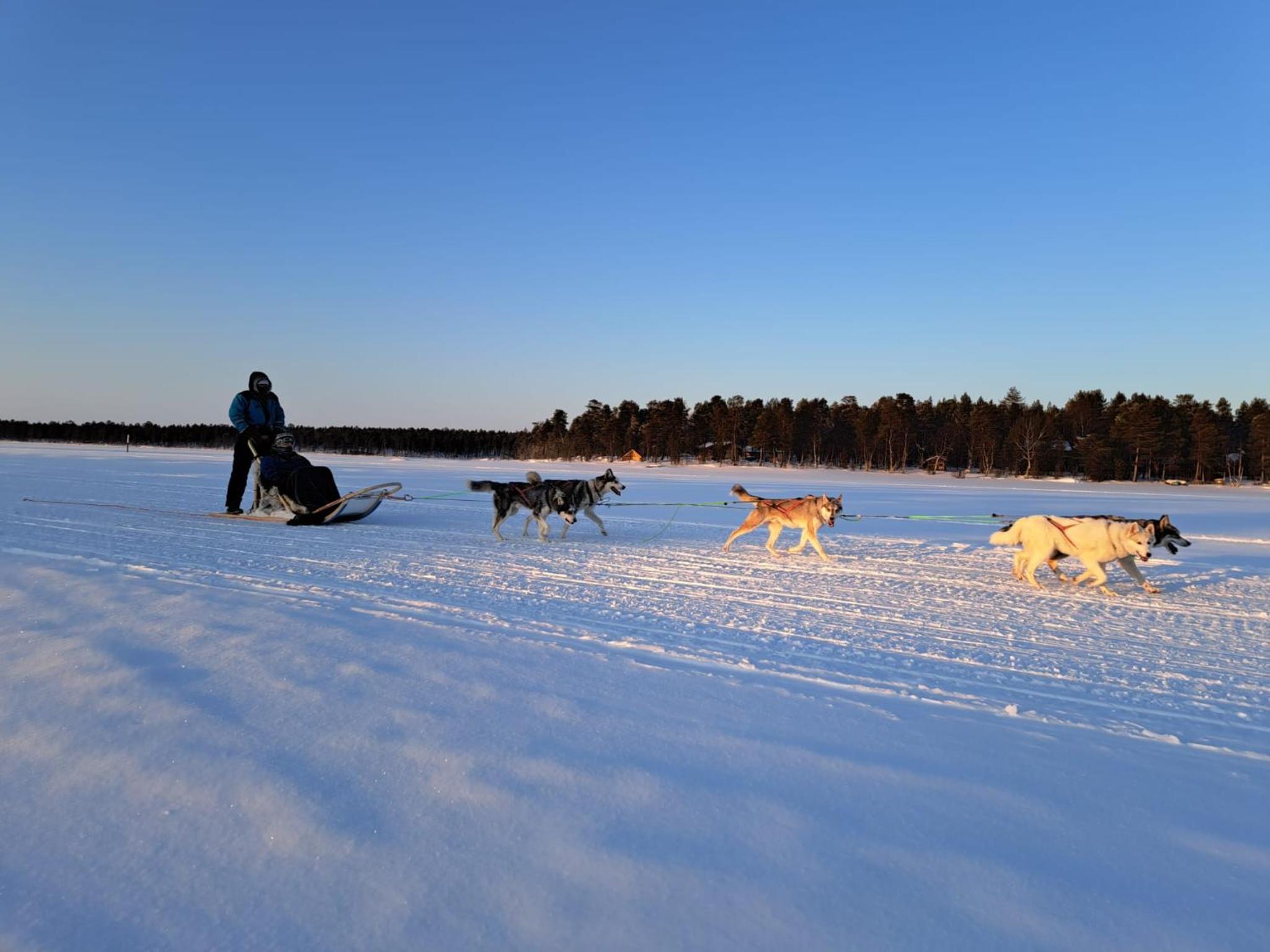 Uusi hirsimökki 7 henkilölle