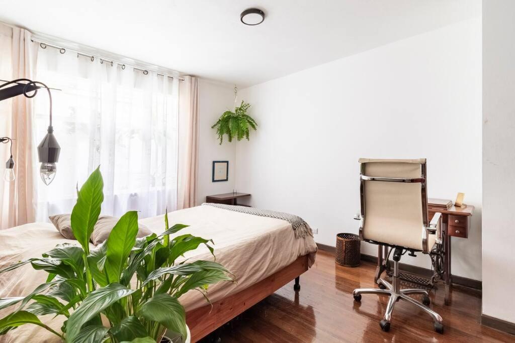 Céntrica y Acogedora Casa