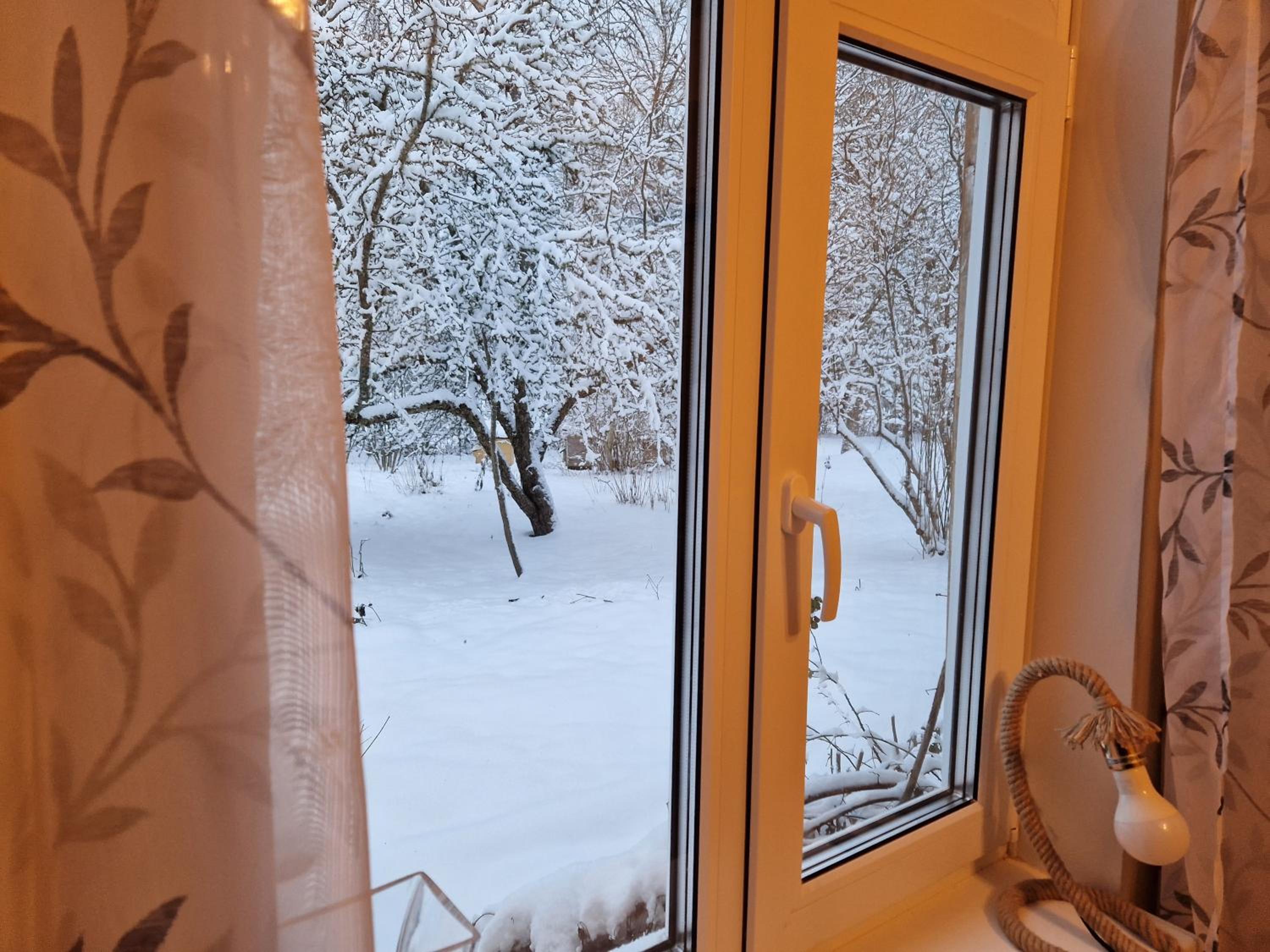 Ķēniņi