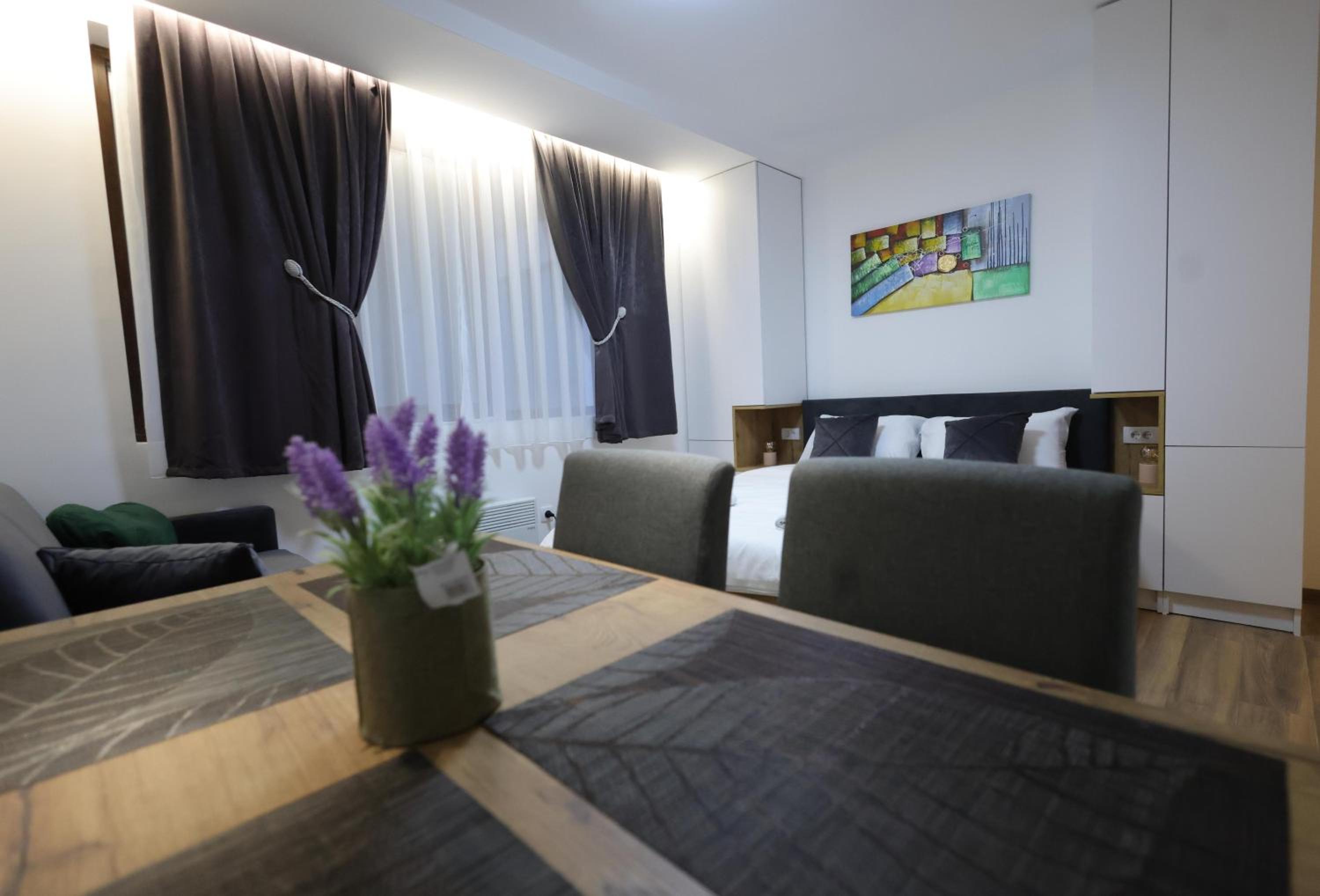 King apartments Kopaonik view 3