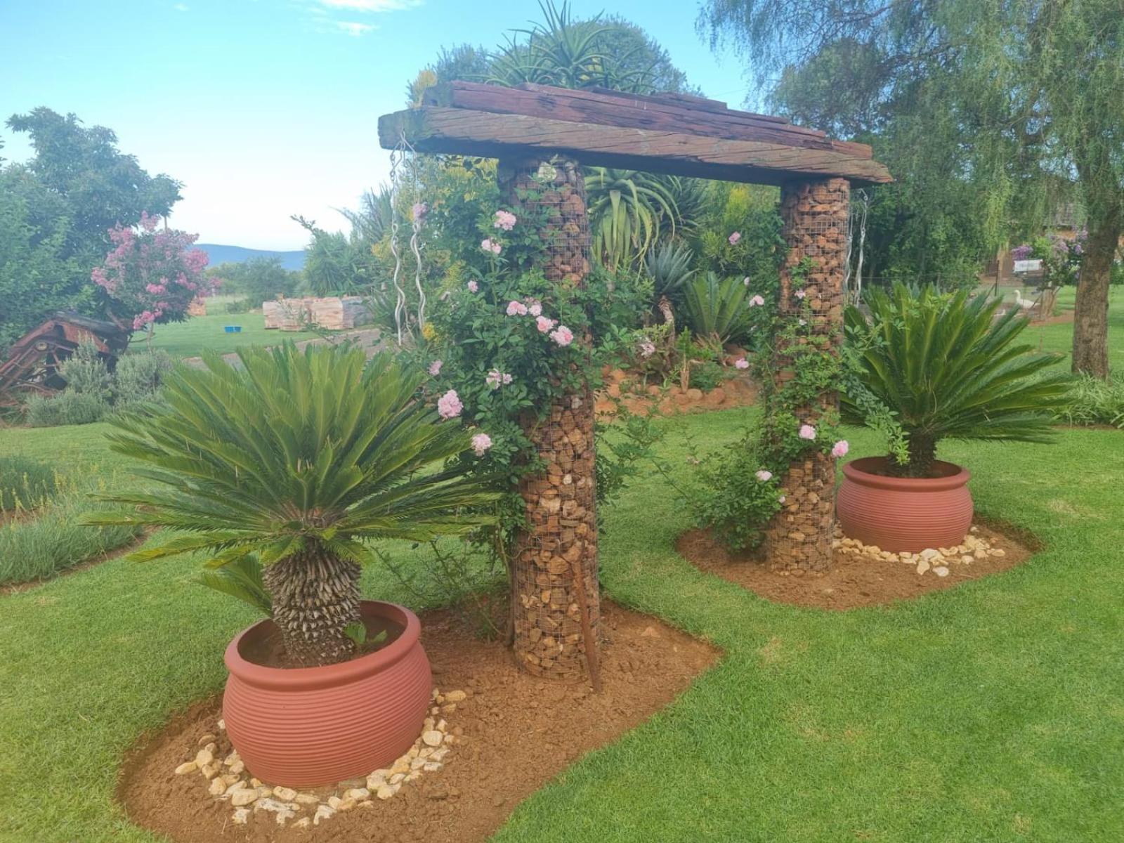 Big Boma Guest House view 5