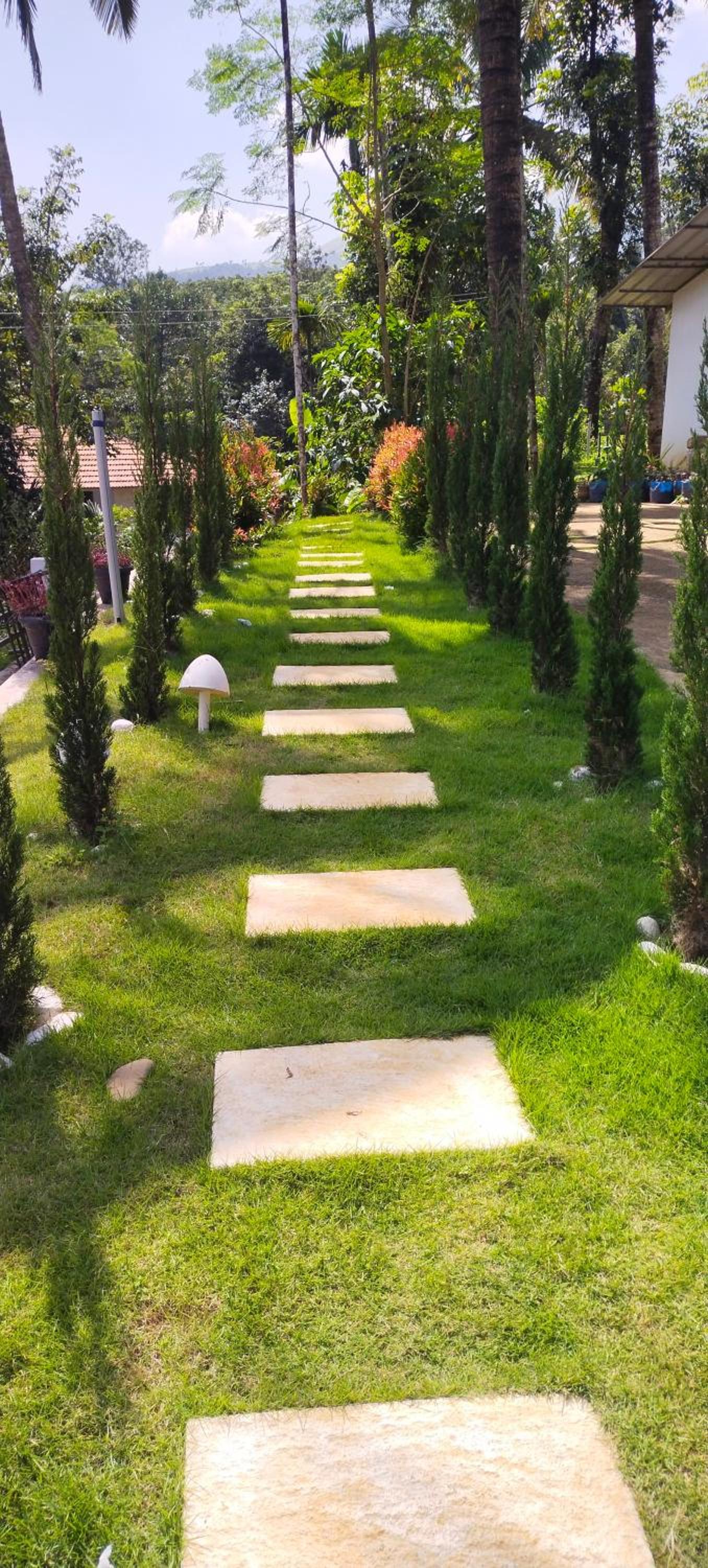 Photo 38