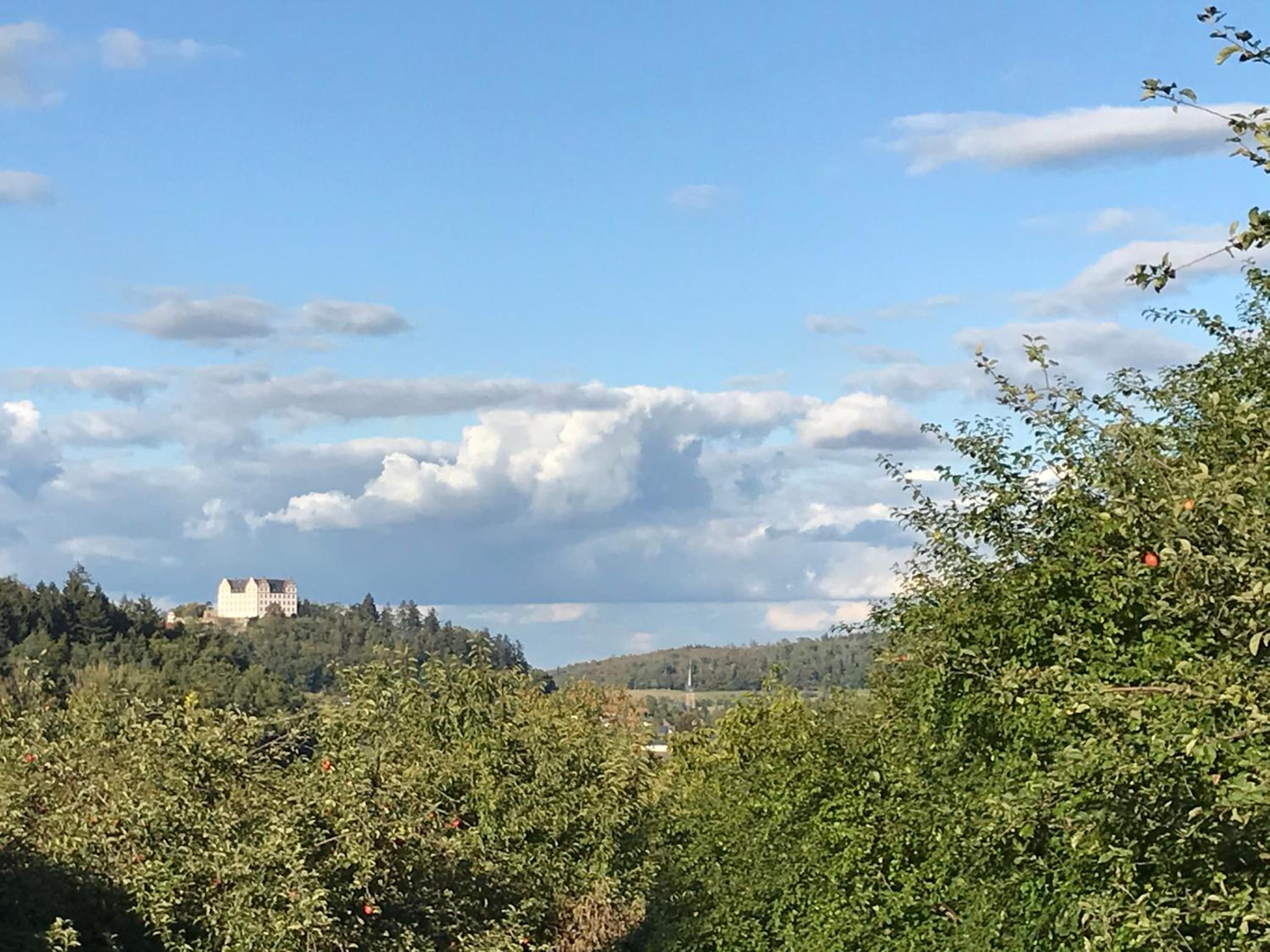Idyllische Wohnung mitten in der Natur „ Haus Magnolia „