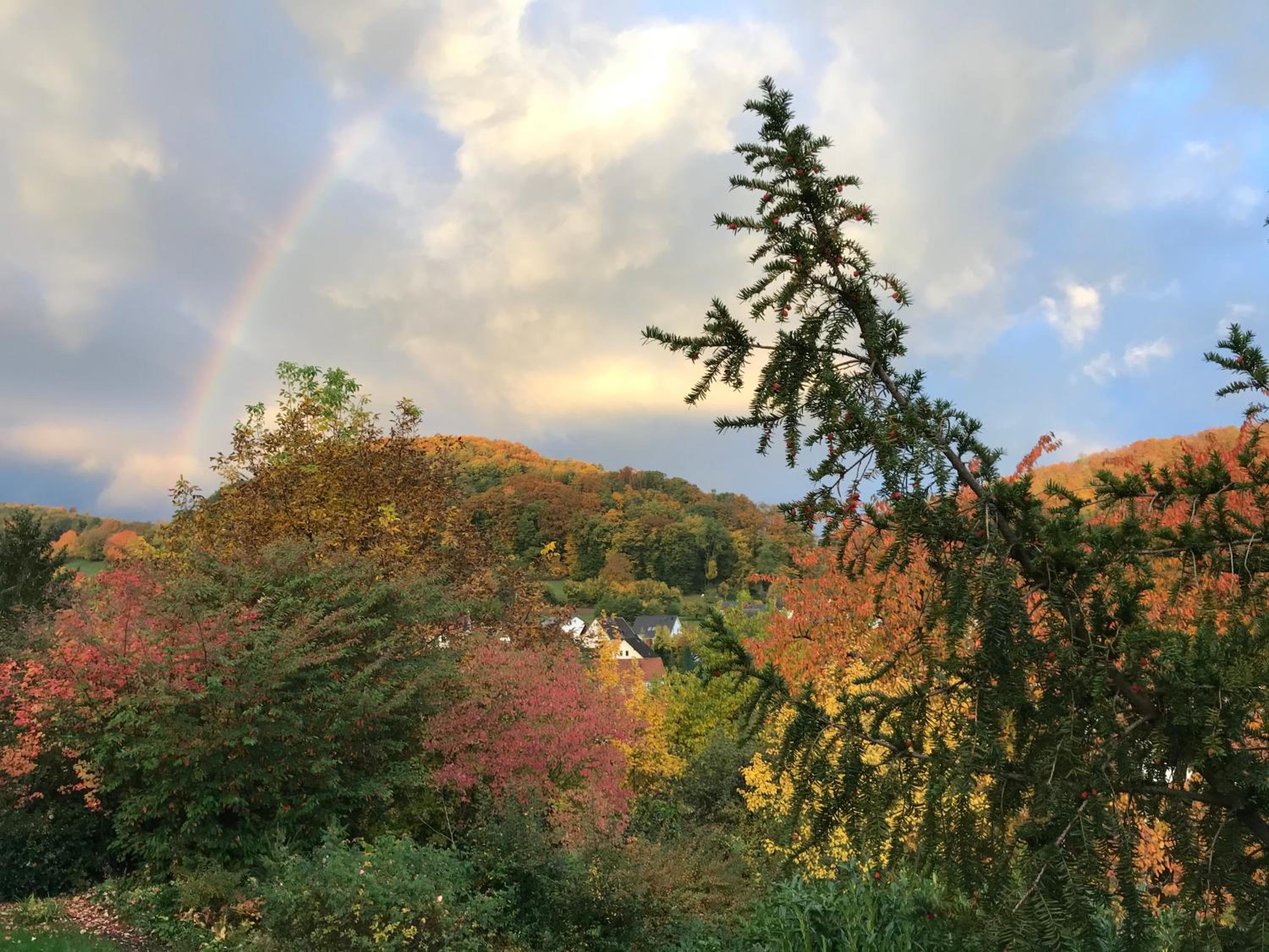Idyllische Wohnung mitten in der Natur „ Haus Magnolia „