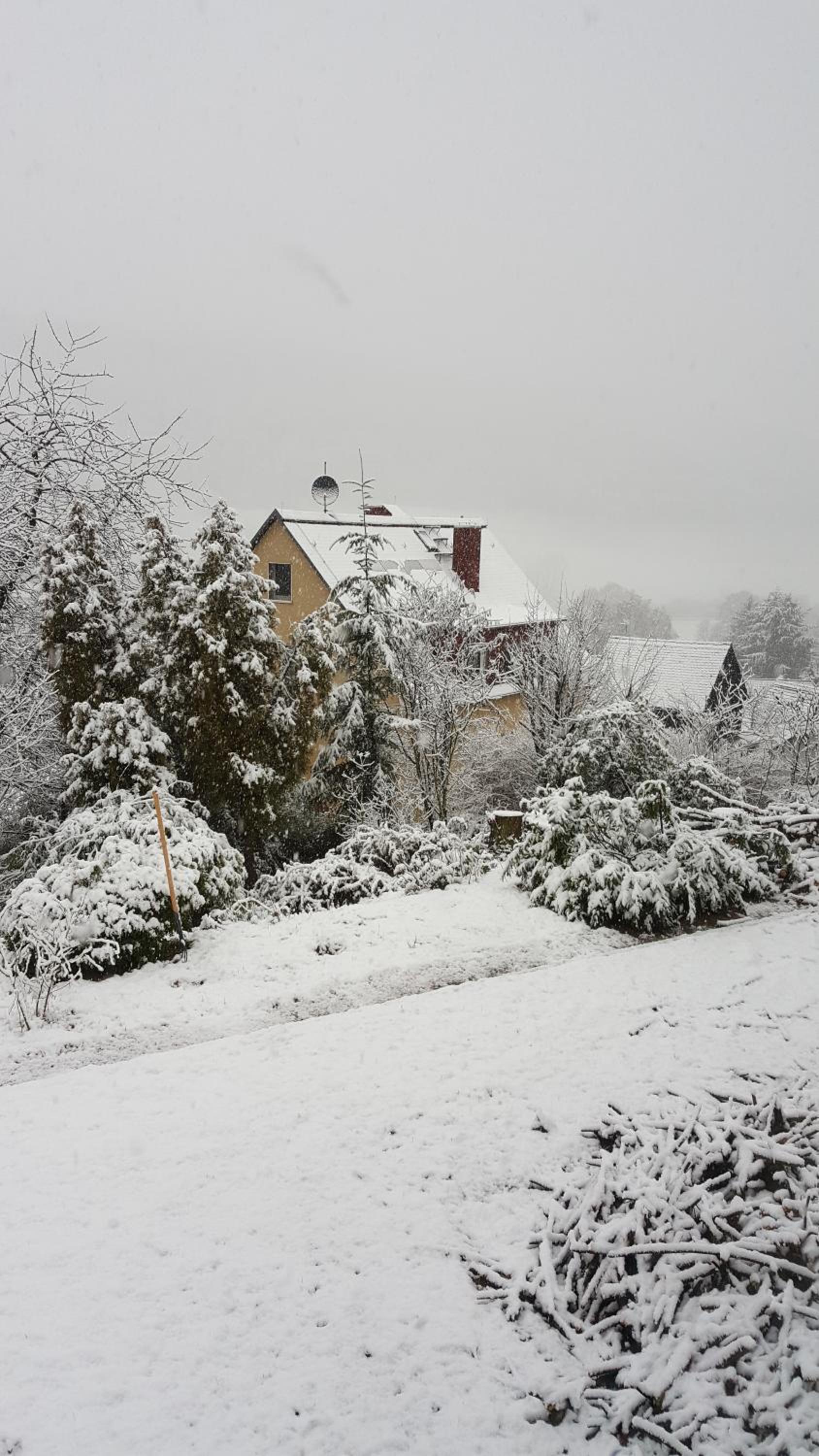 Idyllische Wohnung mitten in der Natur „ Haus Magnolia „