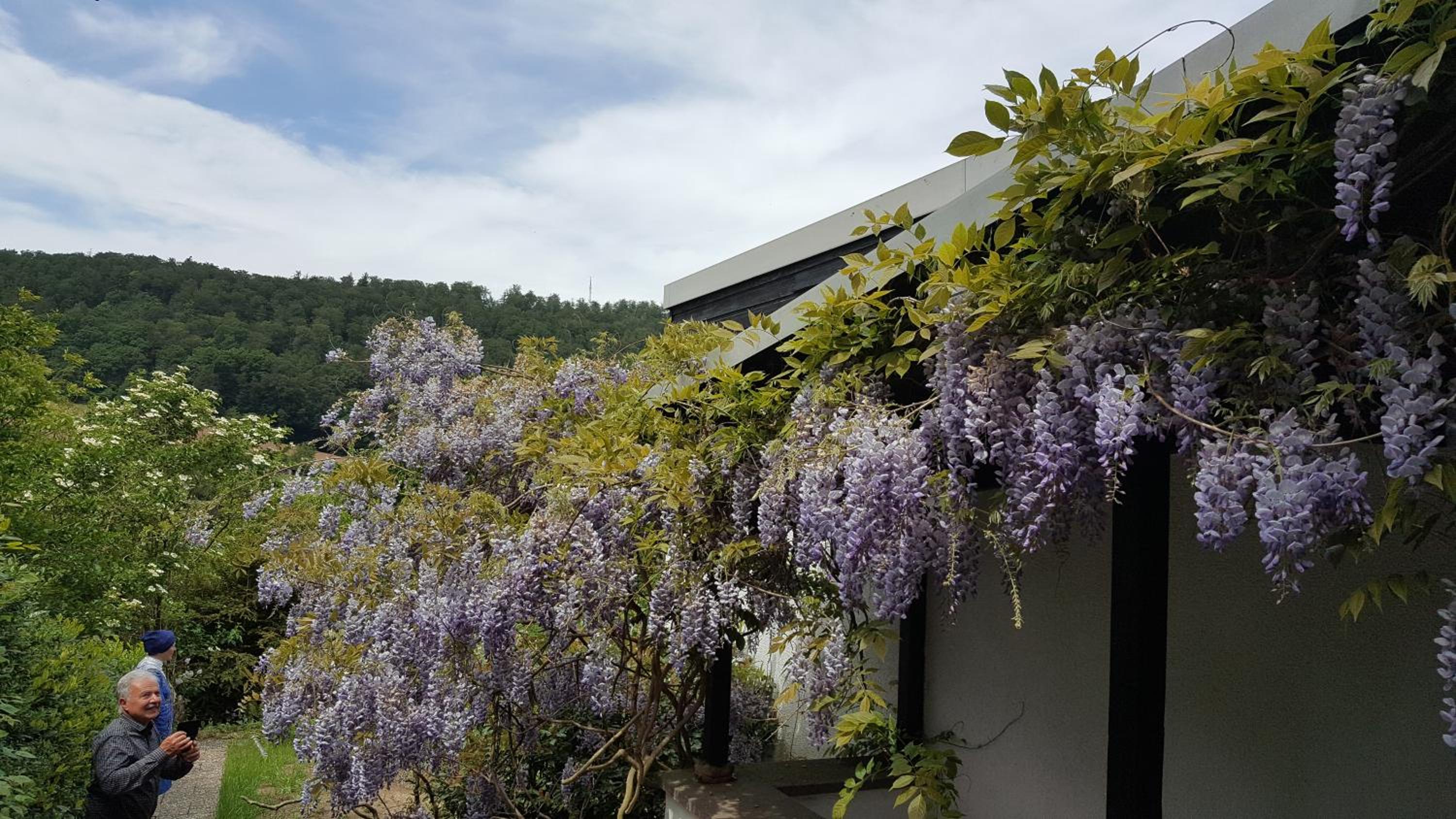 Idyllische Wohnung mitten in der Natur „ Haus Magnolia „