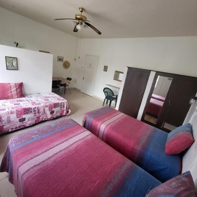 Dolphin Inn Guesthouse & Apartments