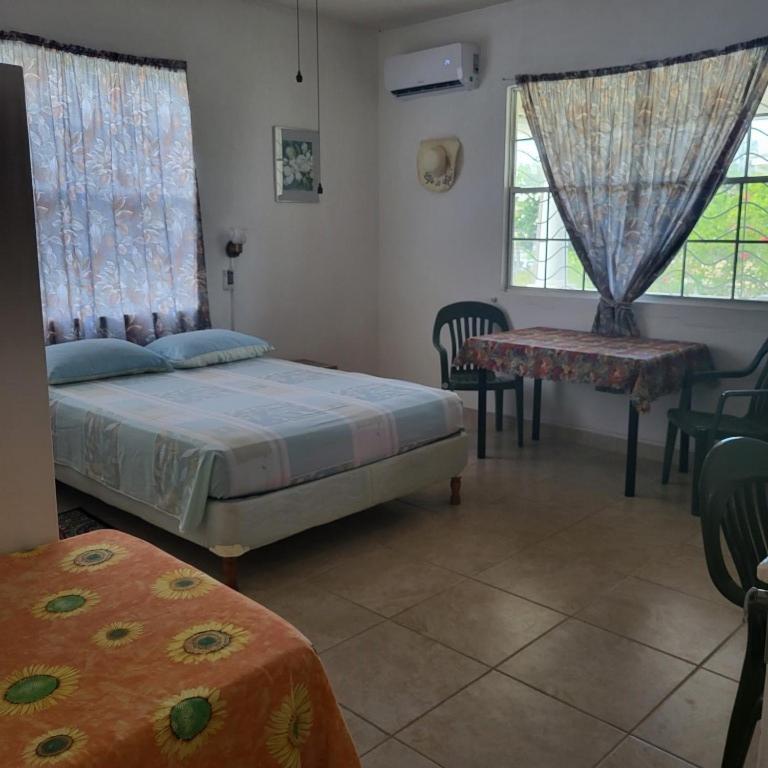 Dolphin Inn Guesthouse & Apartments