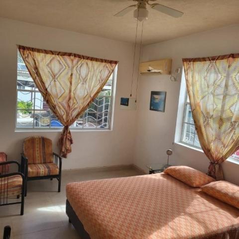 Dolphin Inn Guesthouse & Apartments