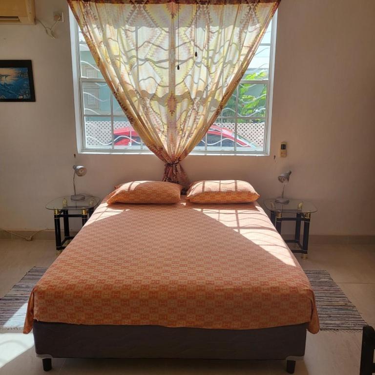 Dolphin Inn Guesthouse & Apartments