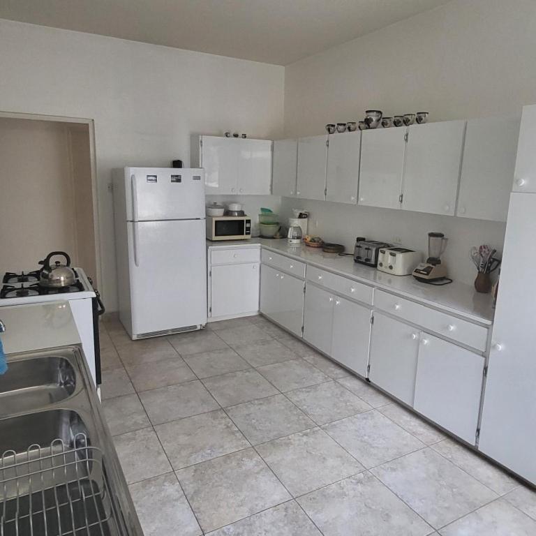 Dolphin Inn Guesthouse & Apartments