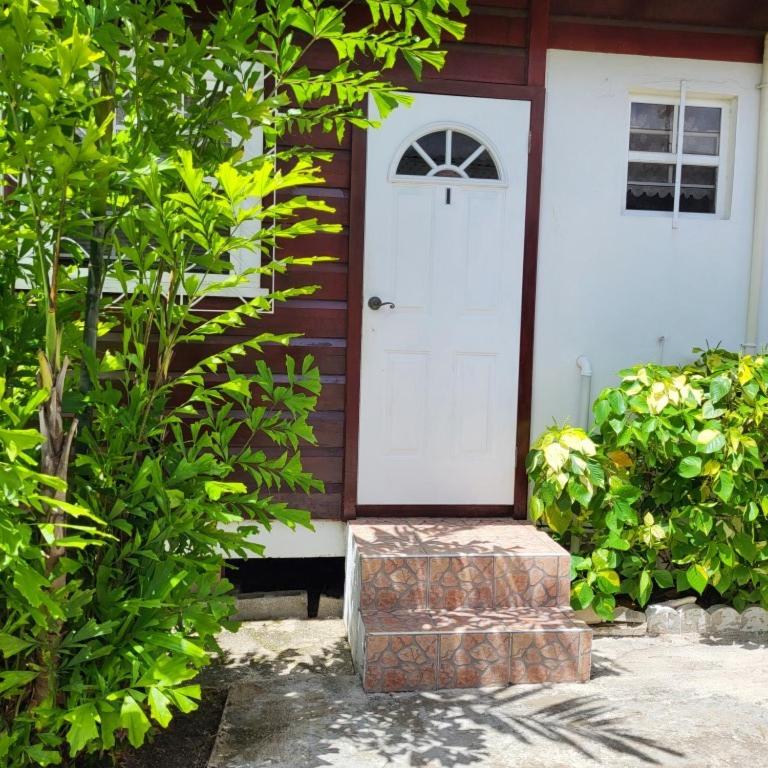 Dolphin Inn Guesthouse & Apartments