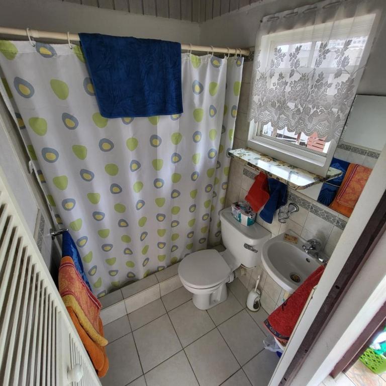 Dolphin Inn Guesthouse & Apartments