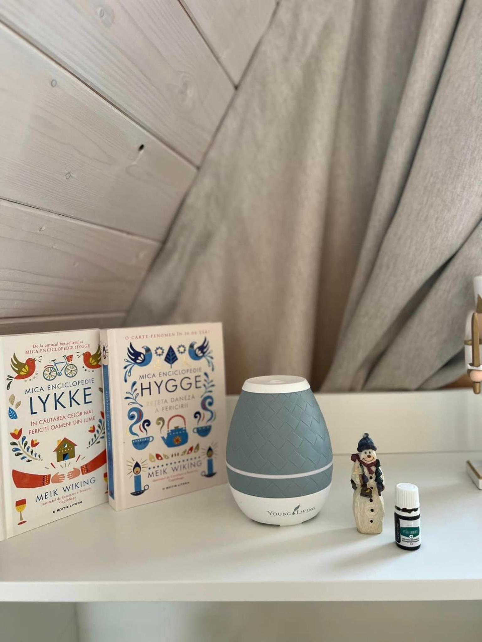 Mokki - A-frame cozy în Apuseni