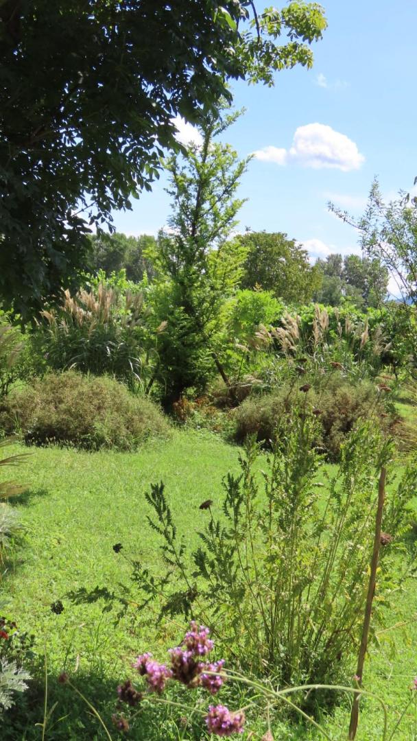 Ca Veja B&B Forlì