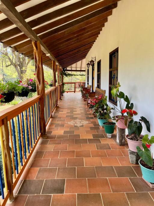 Finca Sierra Luz
