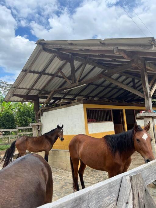Finca Sierra Luz