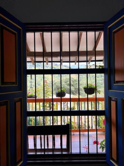 Finca Sierra Luz