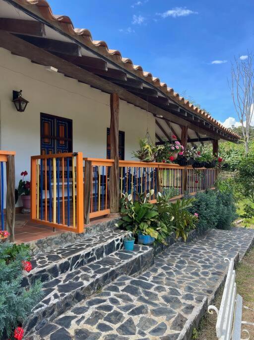Finca Sierra Luz