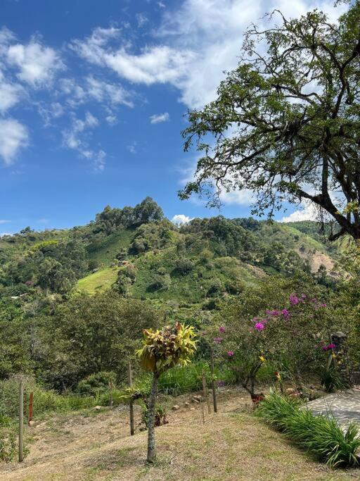 Finca Sierra Luz