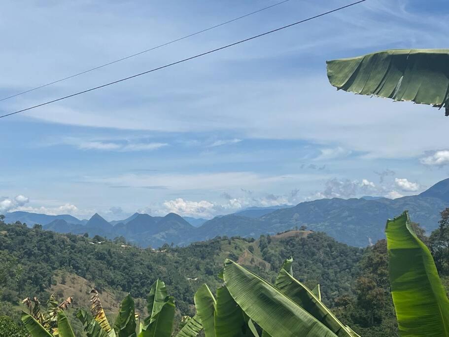Finca Sierra Luz