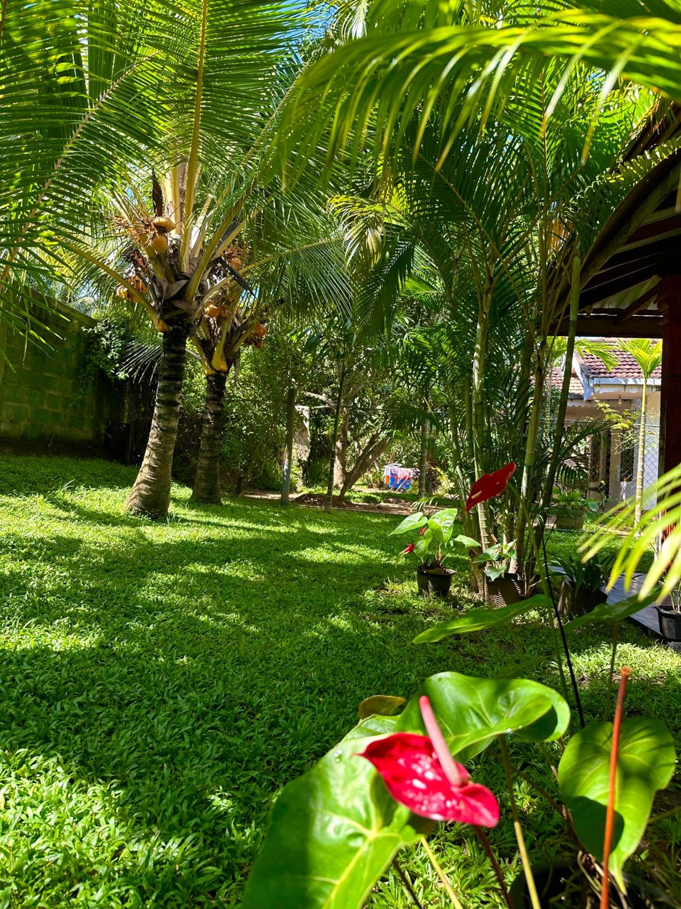 Jasmin Homestay Marakolliya view 3