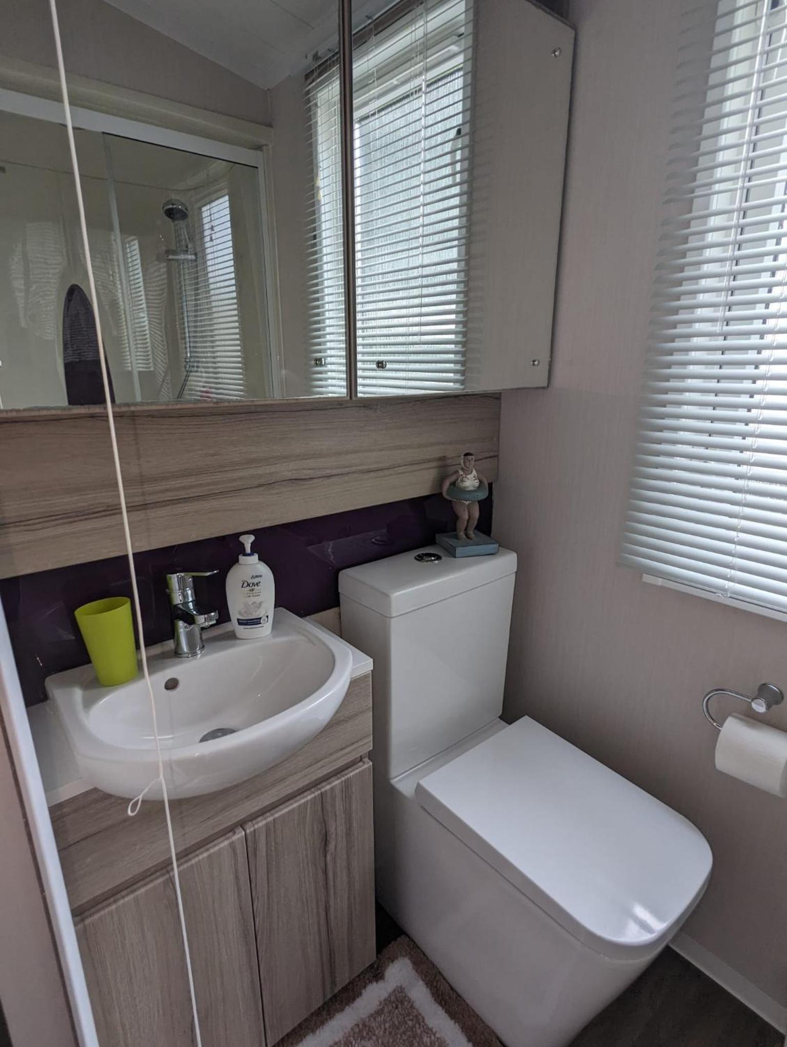 BEAUTIFUL LODGE on SHOREFIELD Country Park on edge of New Forest ENTERTAINMENT AND LEISURE PASSES INCLUDED view 4