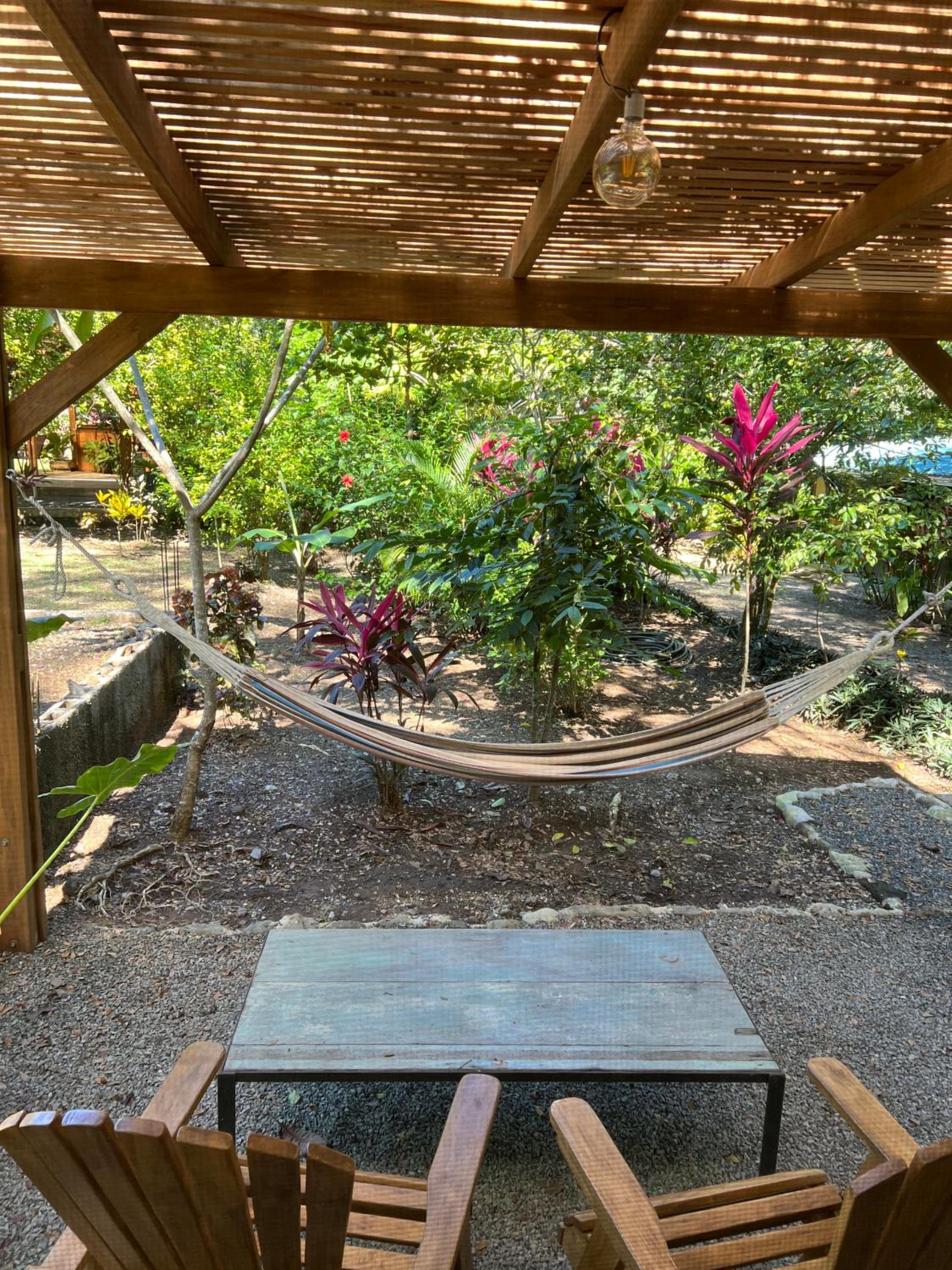 Feeling Trees Jungle Lodge