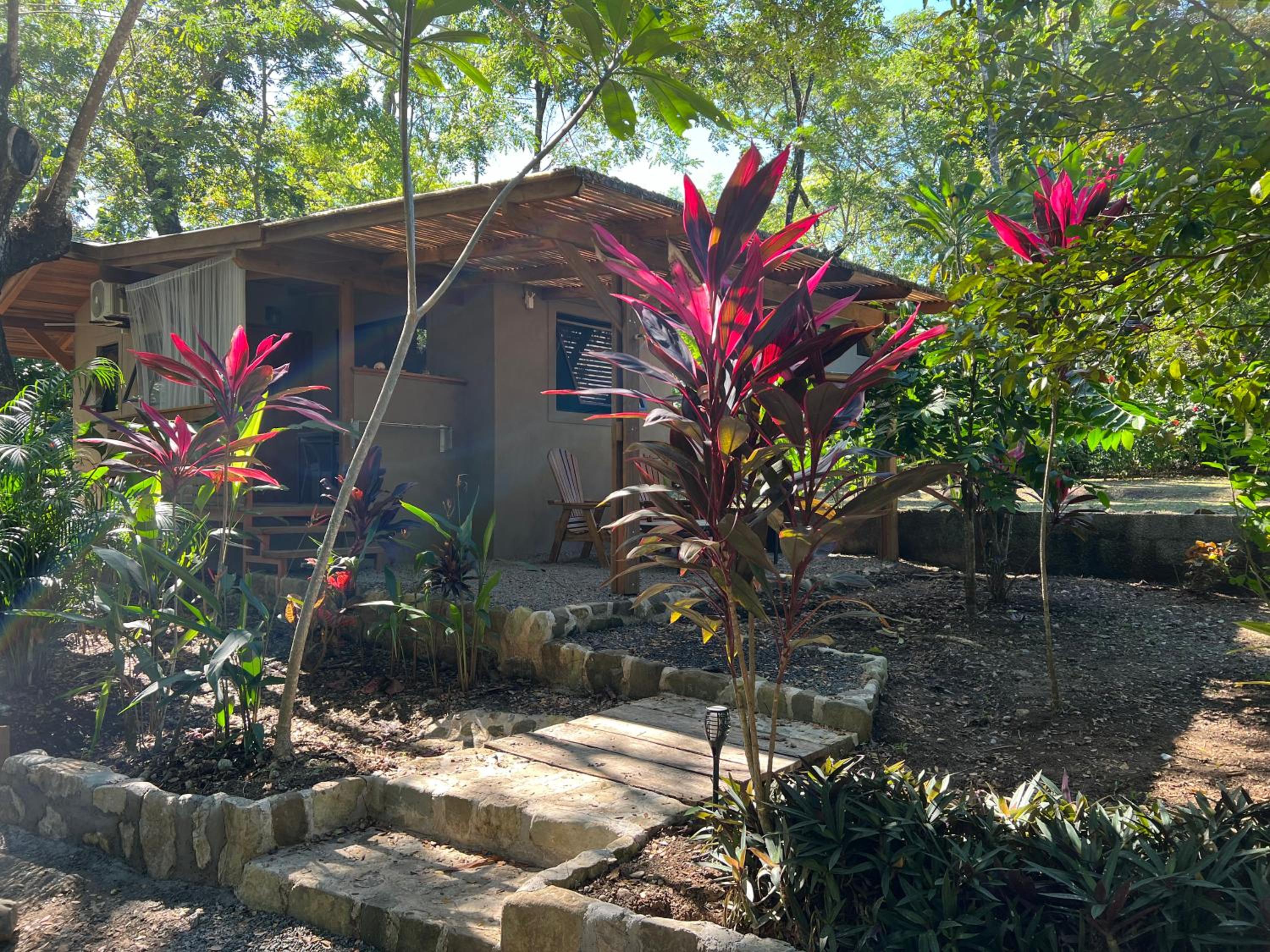 Feeling Trees Jungle Lodge