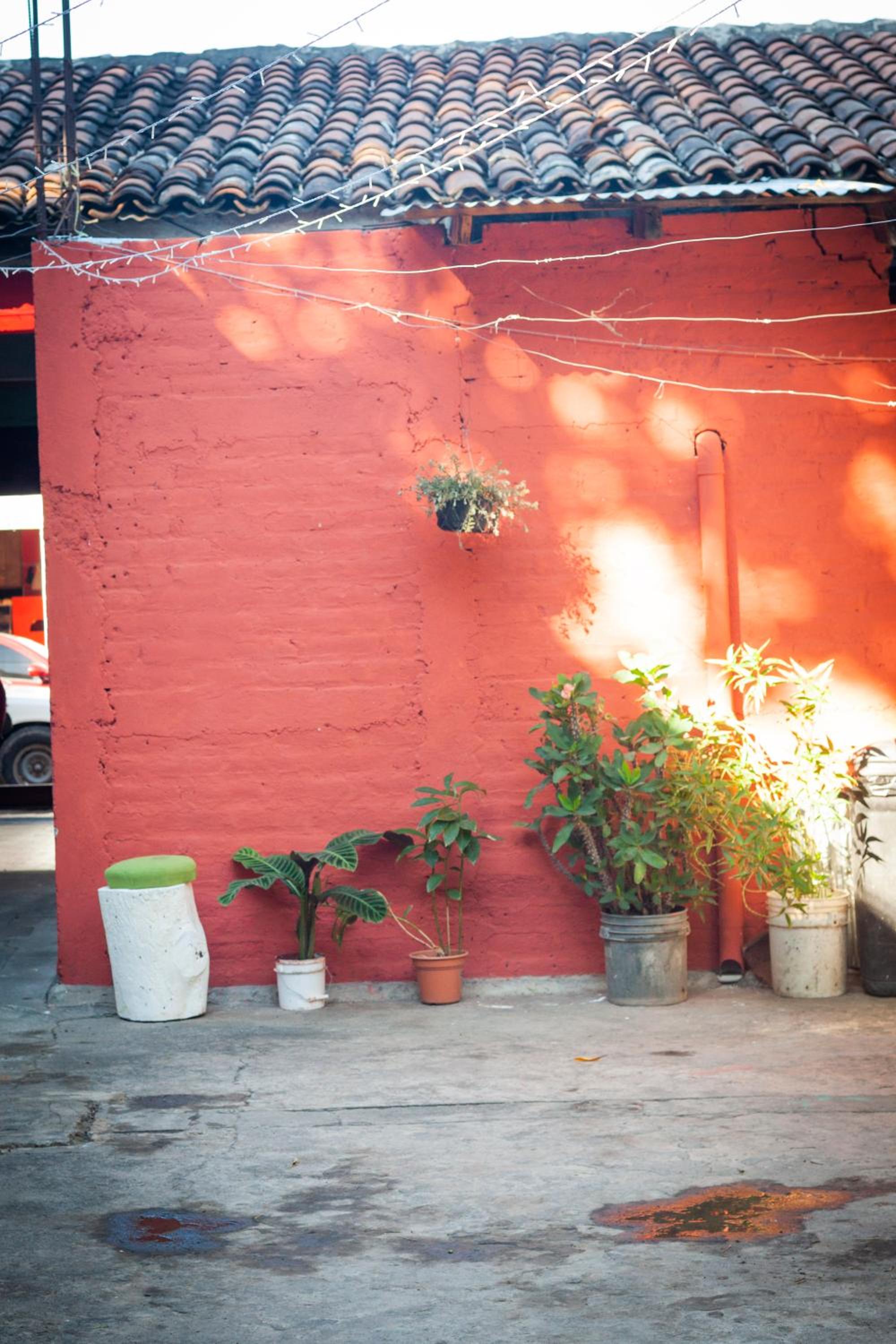 Photo 46