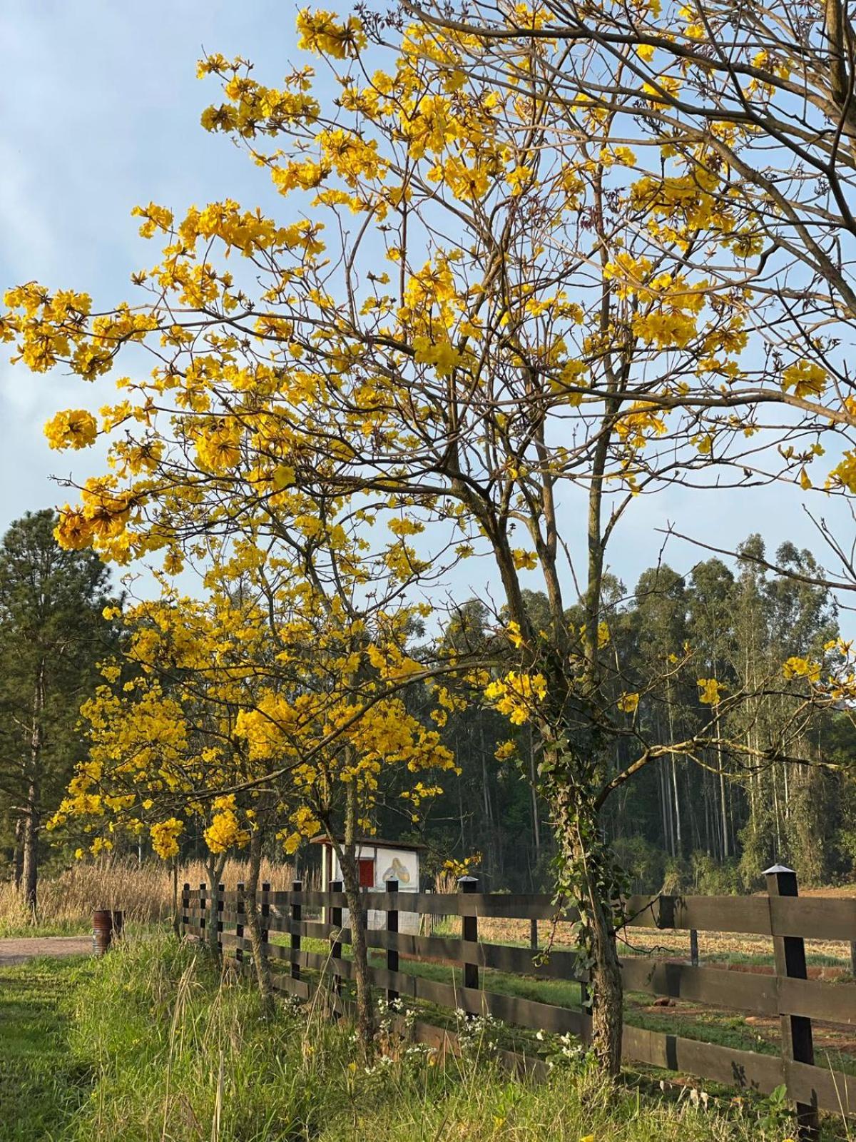 Casa de campo Quinta do Floriano